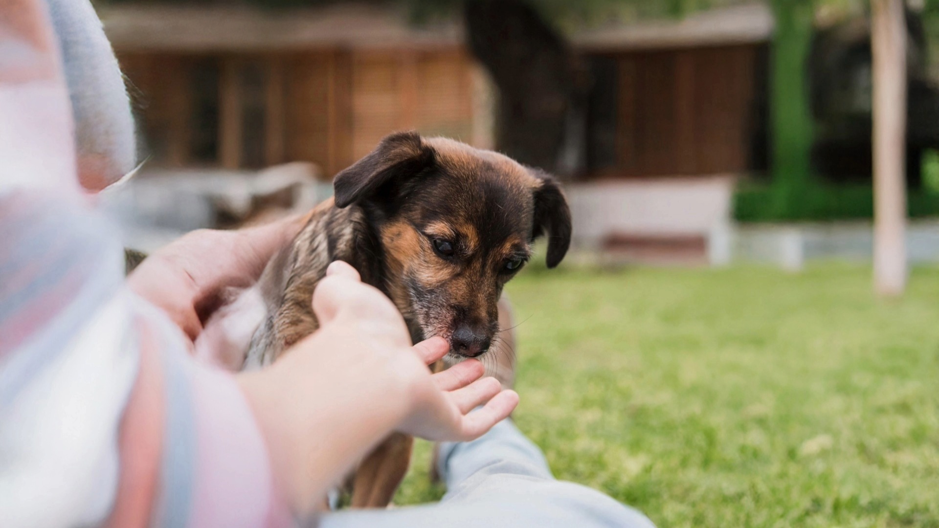 Salvati dalla sofferenza
