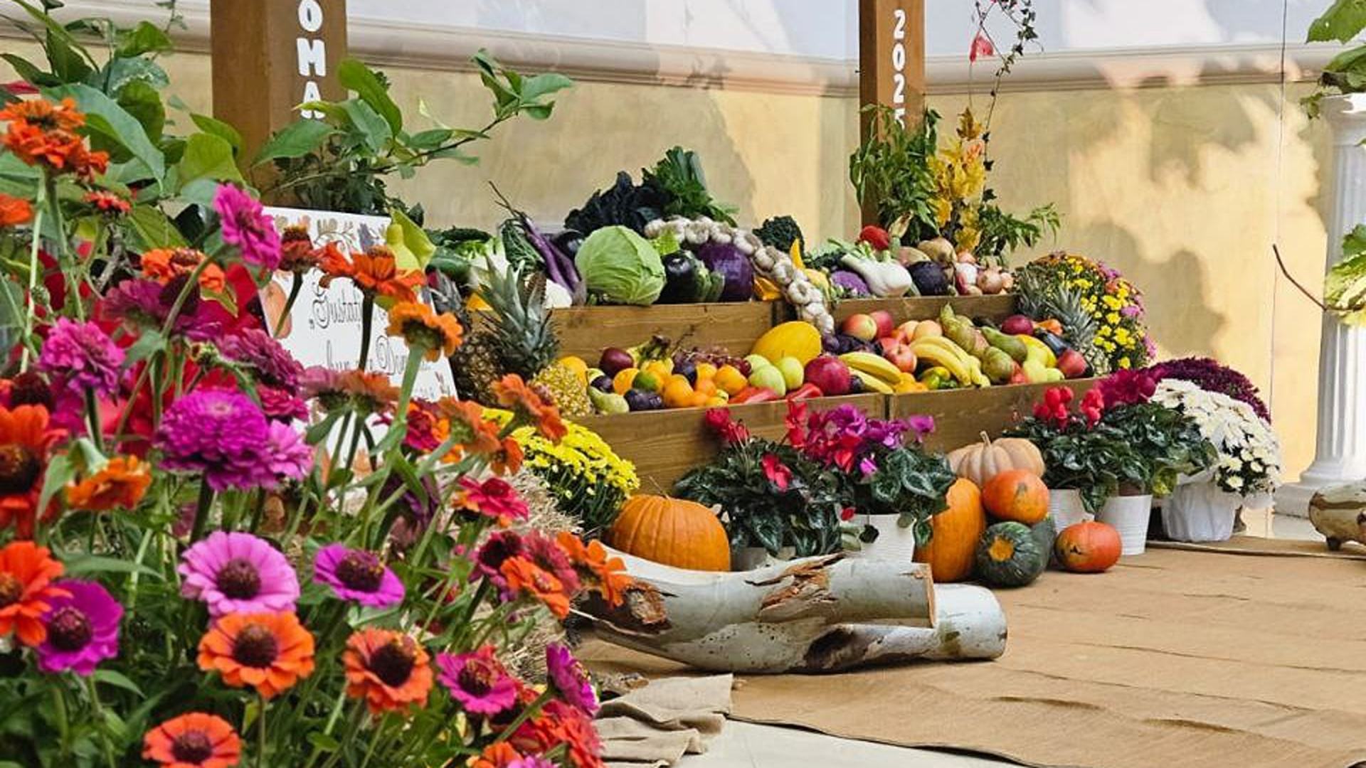 Roma romena. Sabato di ringraziamento