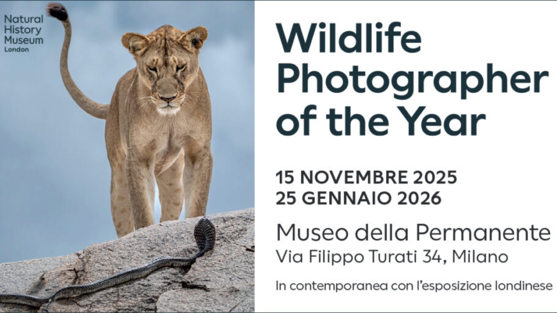 Wildlife Photographer of the Year 2025