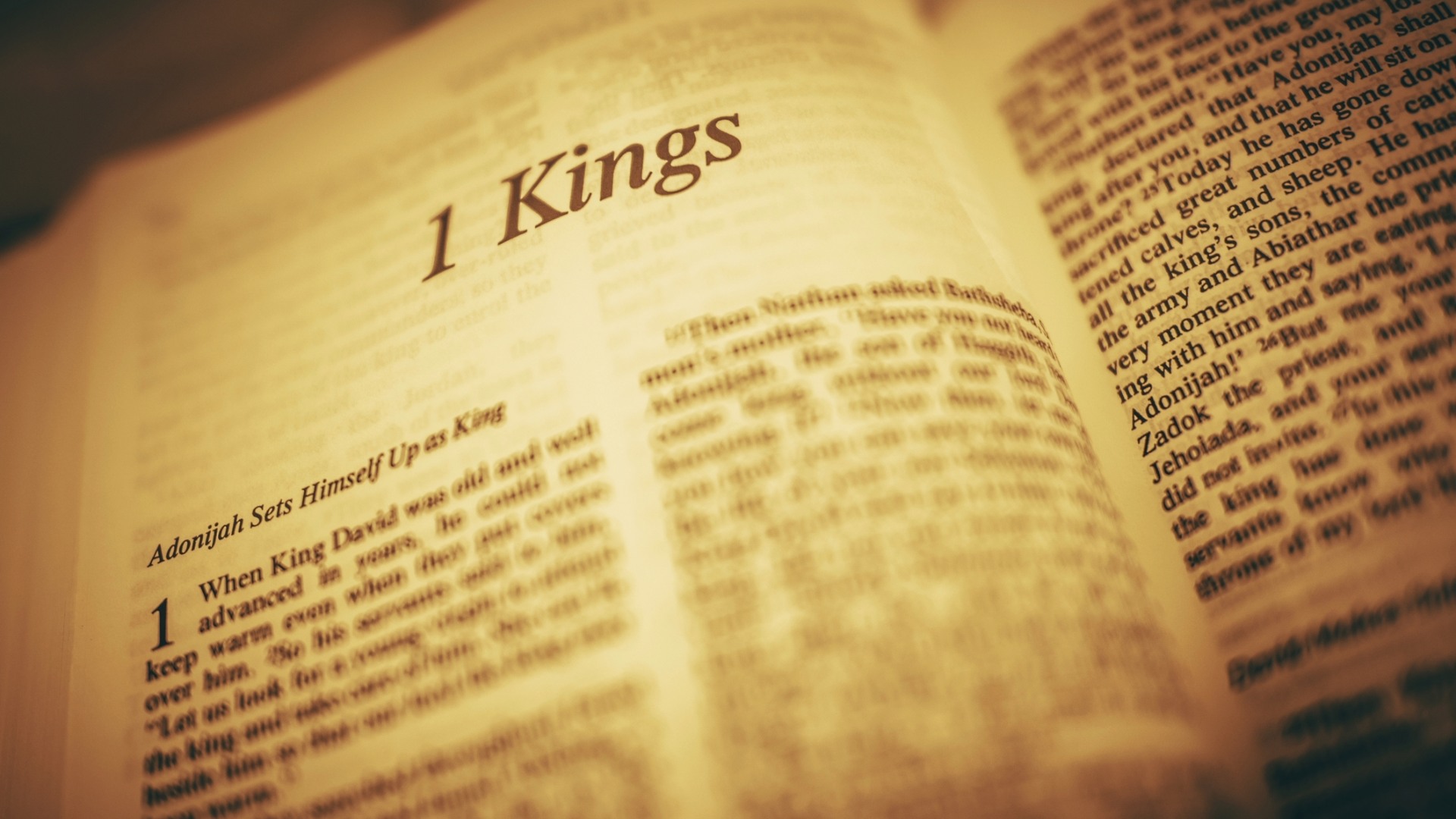 I re dimenticati della Bibbia – Roboamo