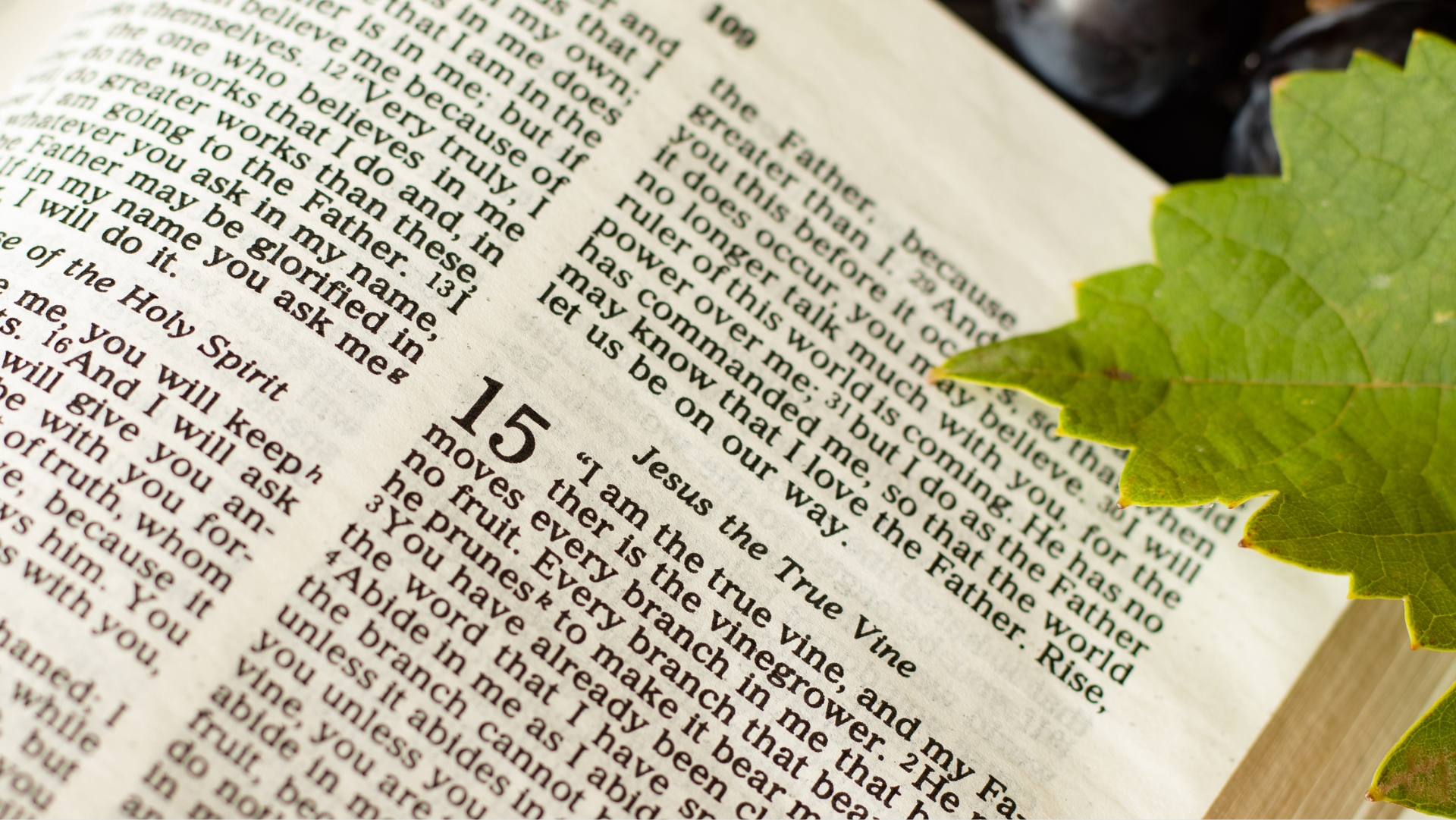 Comprendi ciò che leggi: la parabola