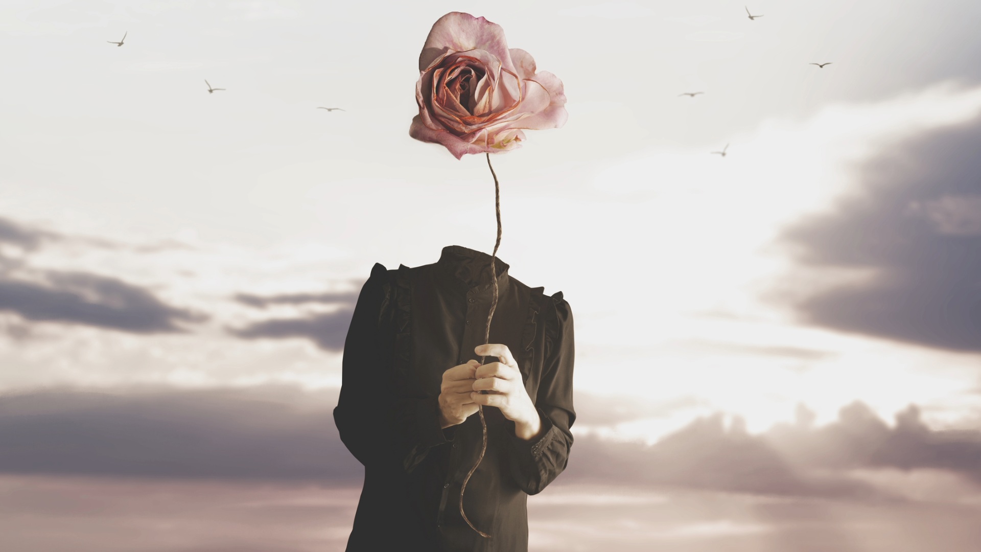 Parole al vento – Identità + Pace