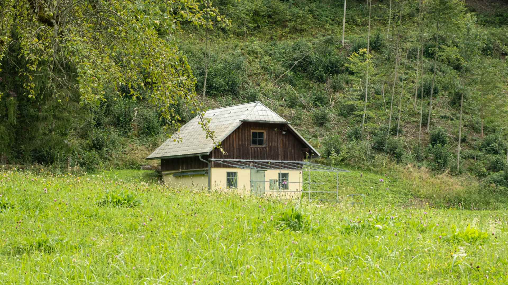 Diamo forma alla speranza: la famiglia nel bosco