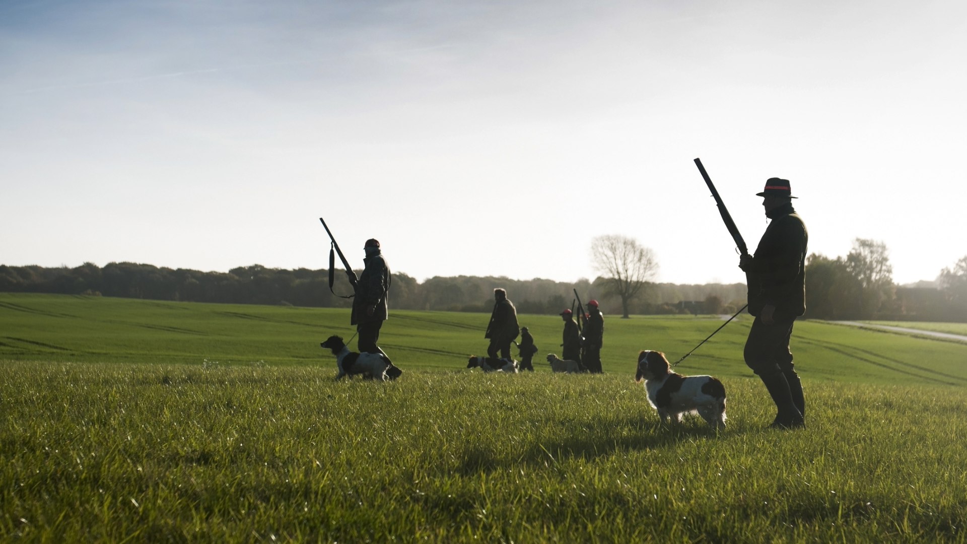 La caccia contraddice lo spirito e la lettera dell’articolo 9 della Costituzione