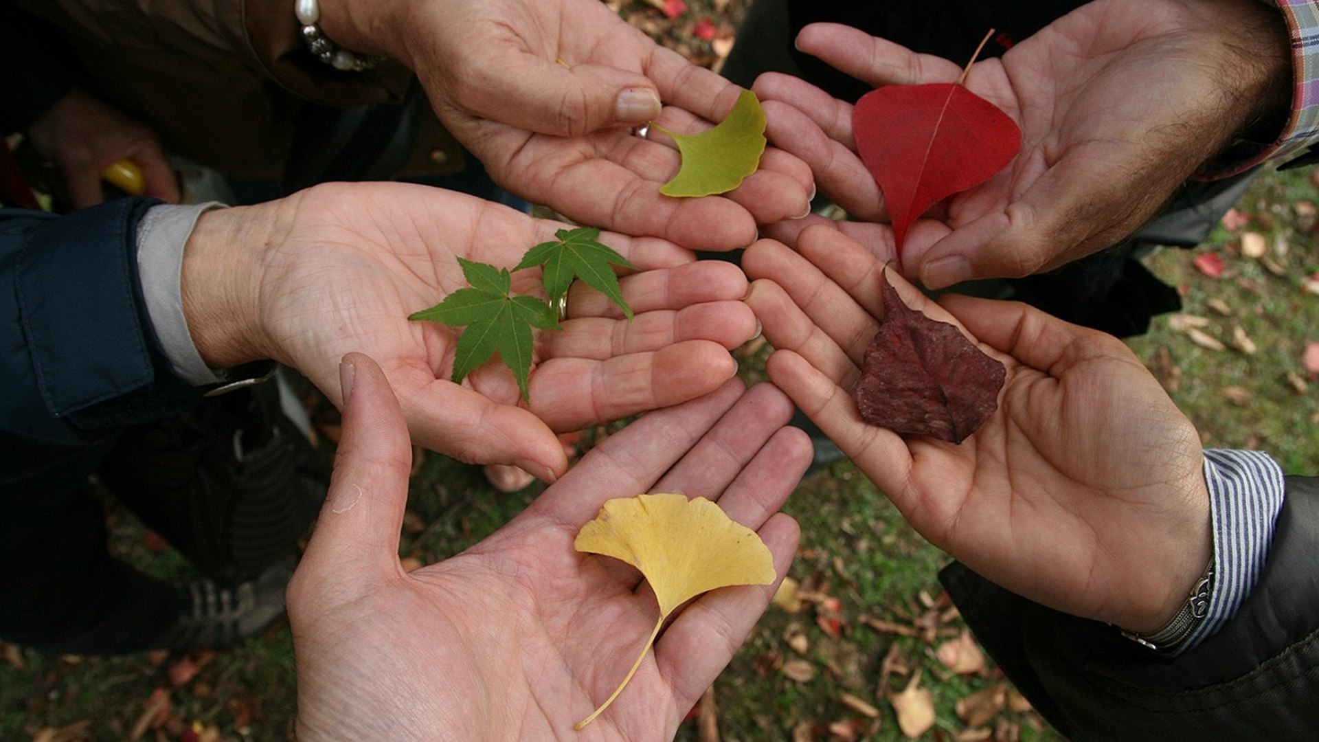 Tolleranza e dignità