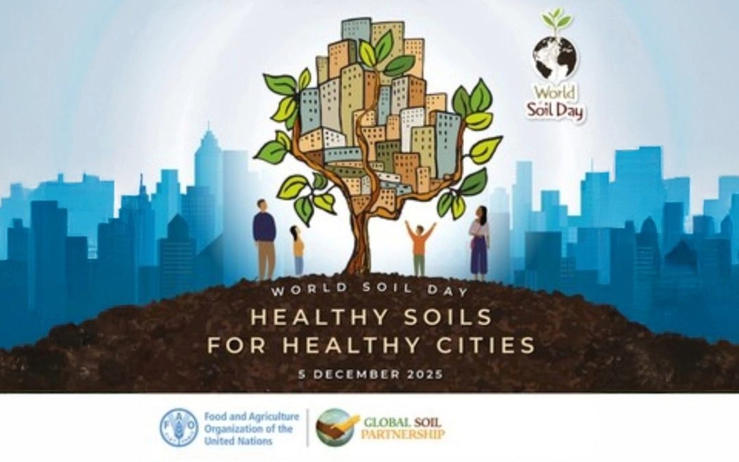 Giornata Mondiale del Suolo. “Suoli Sani per Città Sane”