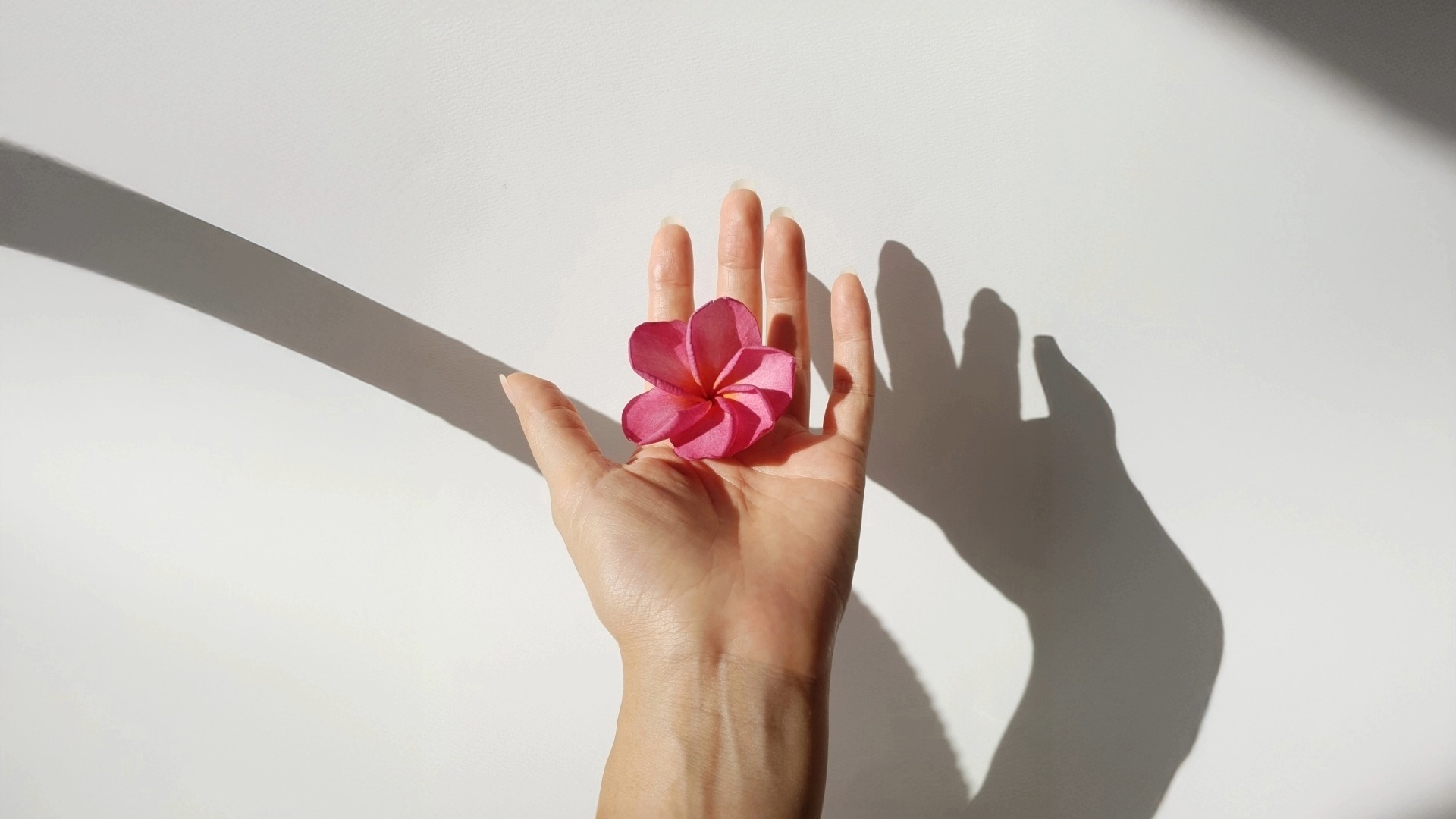 Donna 3.0: il dono della semplicità