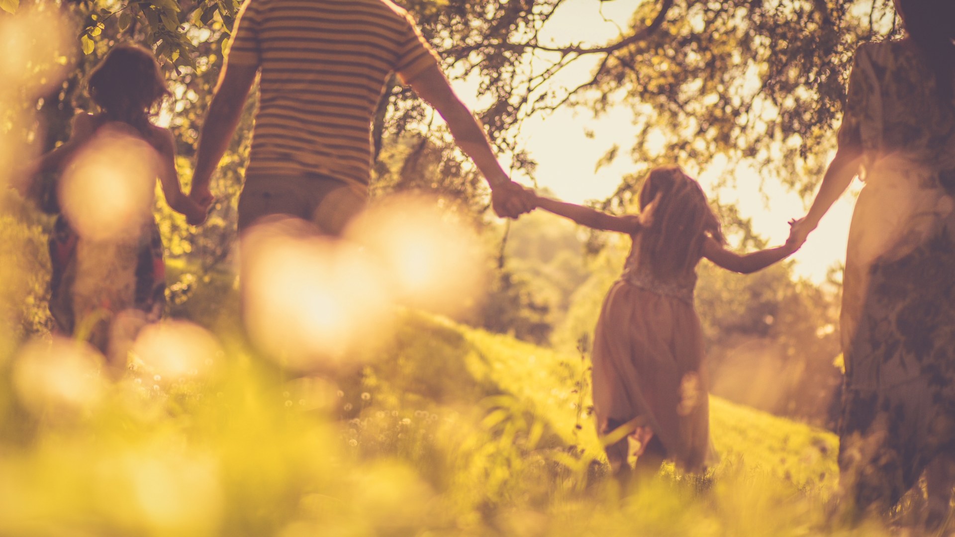 La famiglia nel bosco