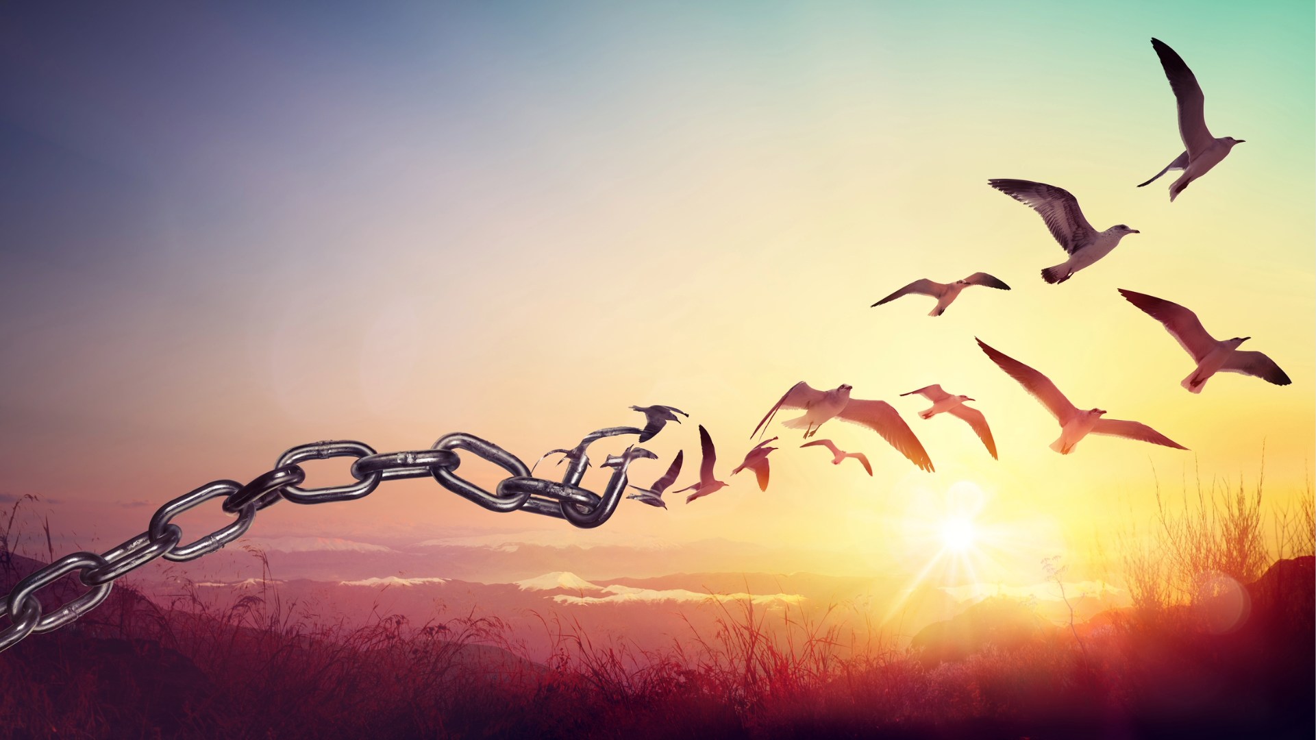 Diamo forma alla speranza: libertà religiosa globale