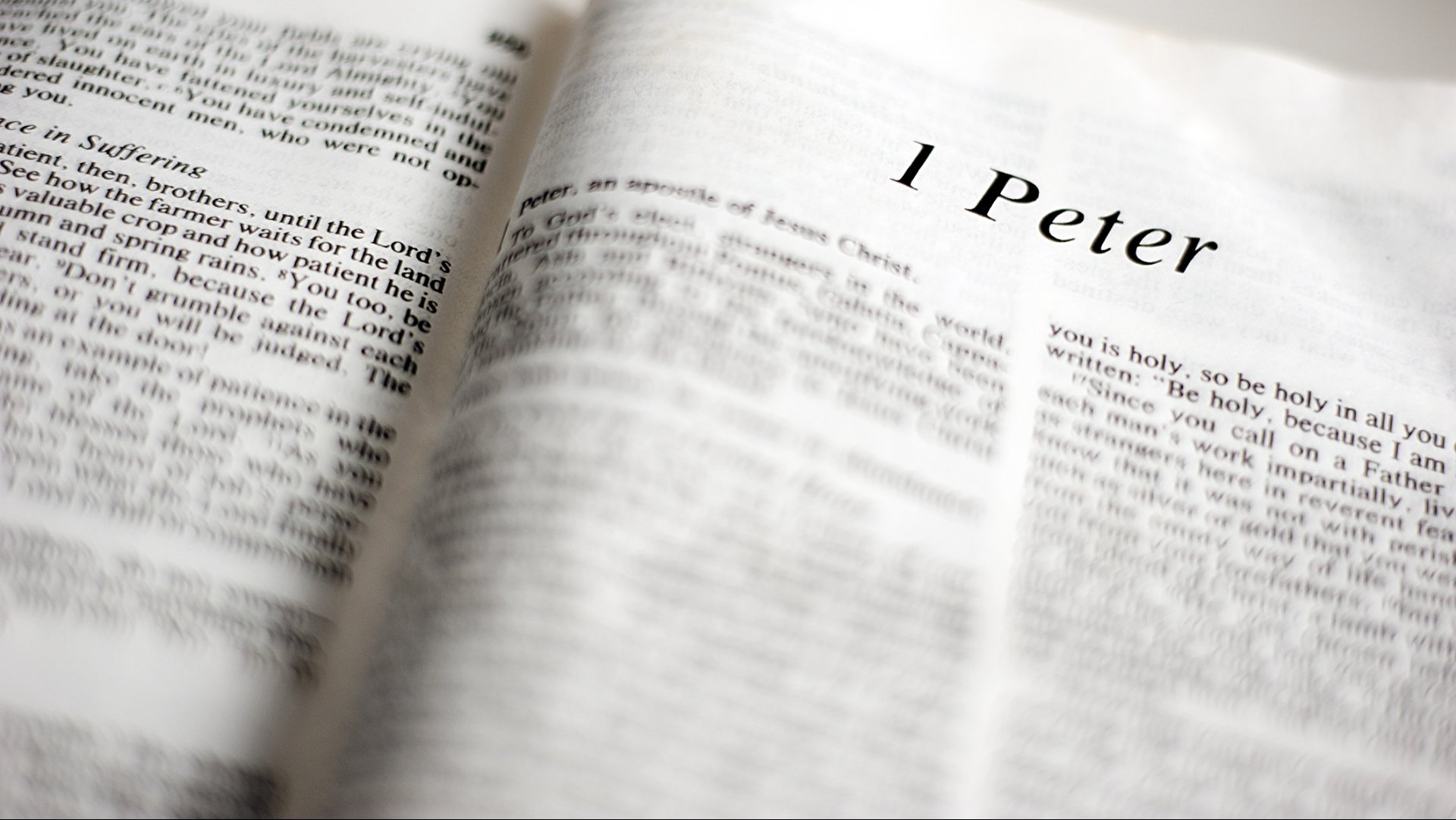 Pietro, un leader anomalo