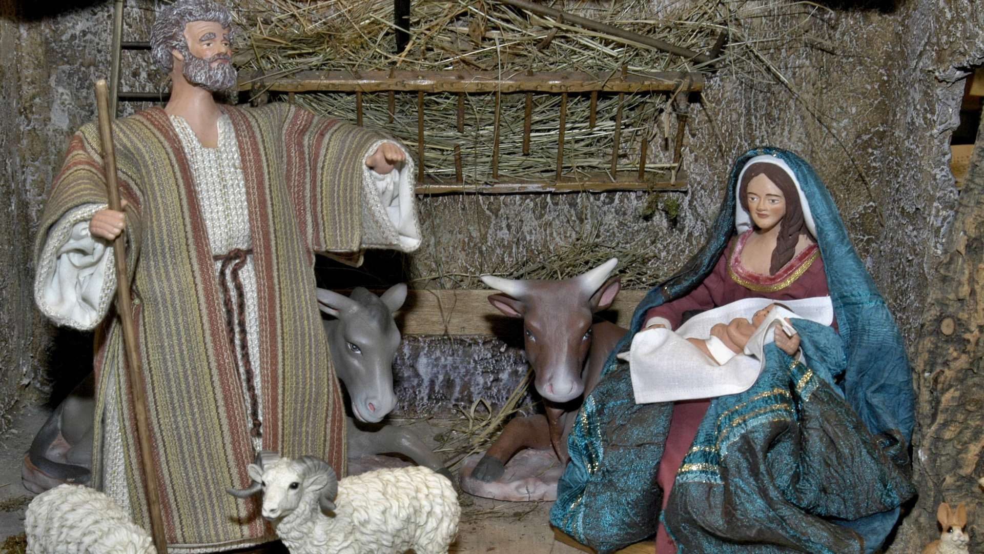 Scuola e famiglia: teologia e zoologia