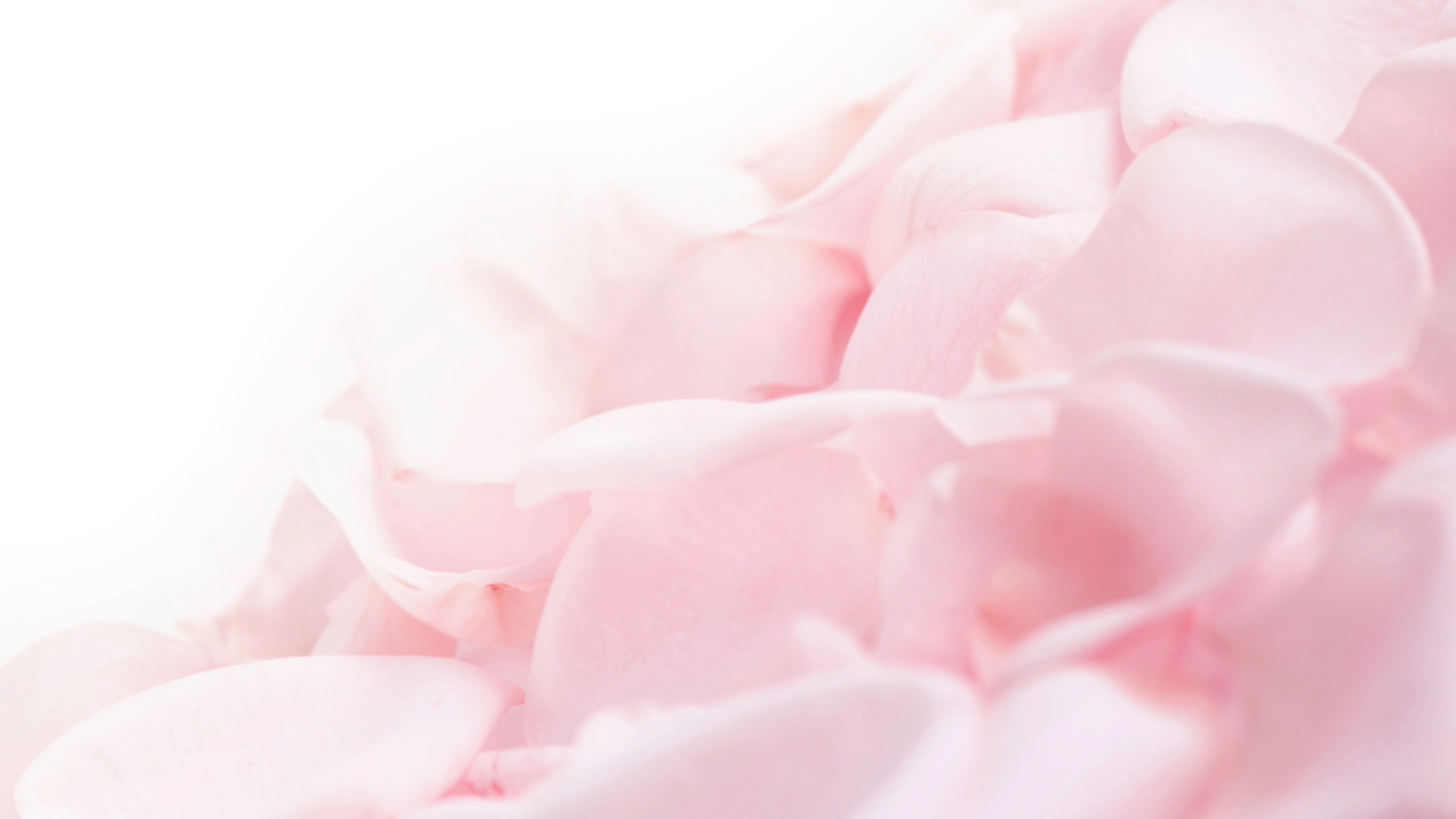 Parole al vento – Due o tre buone ragioni per scegliere la gentilezza