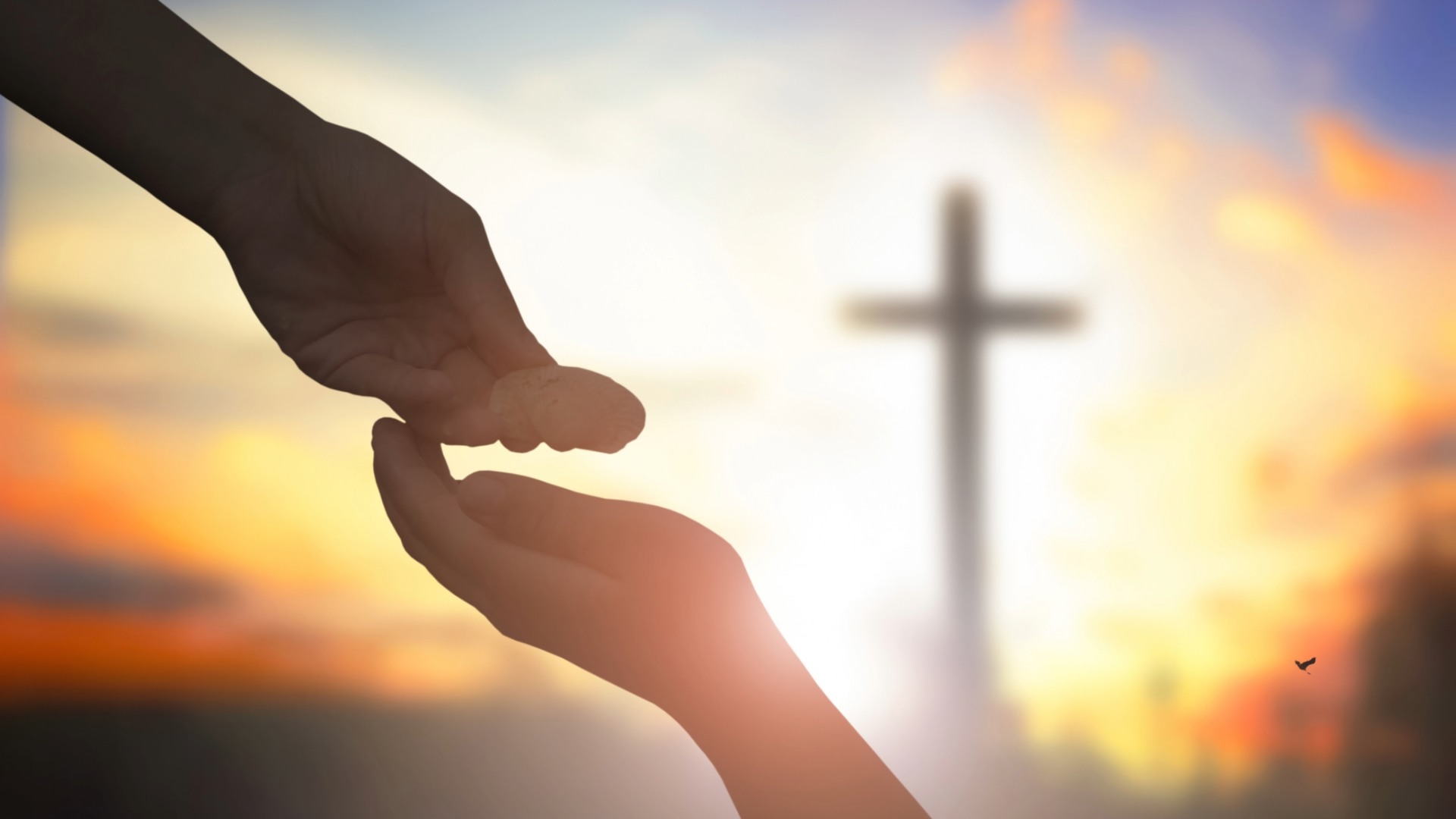 Perdonami come Dio: portare via