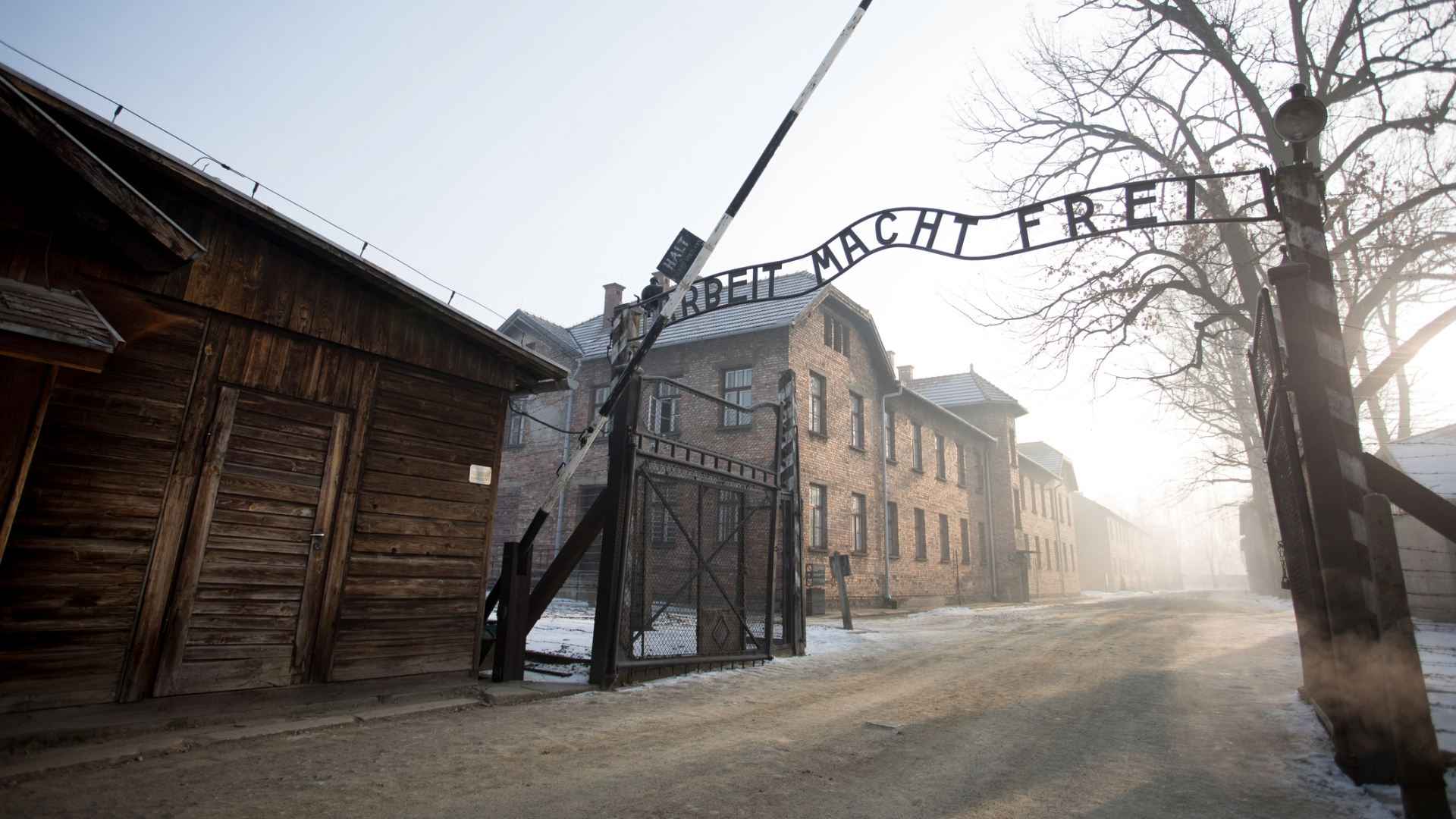 Una riflessione sulla memoria della Shoah