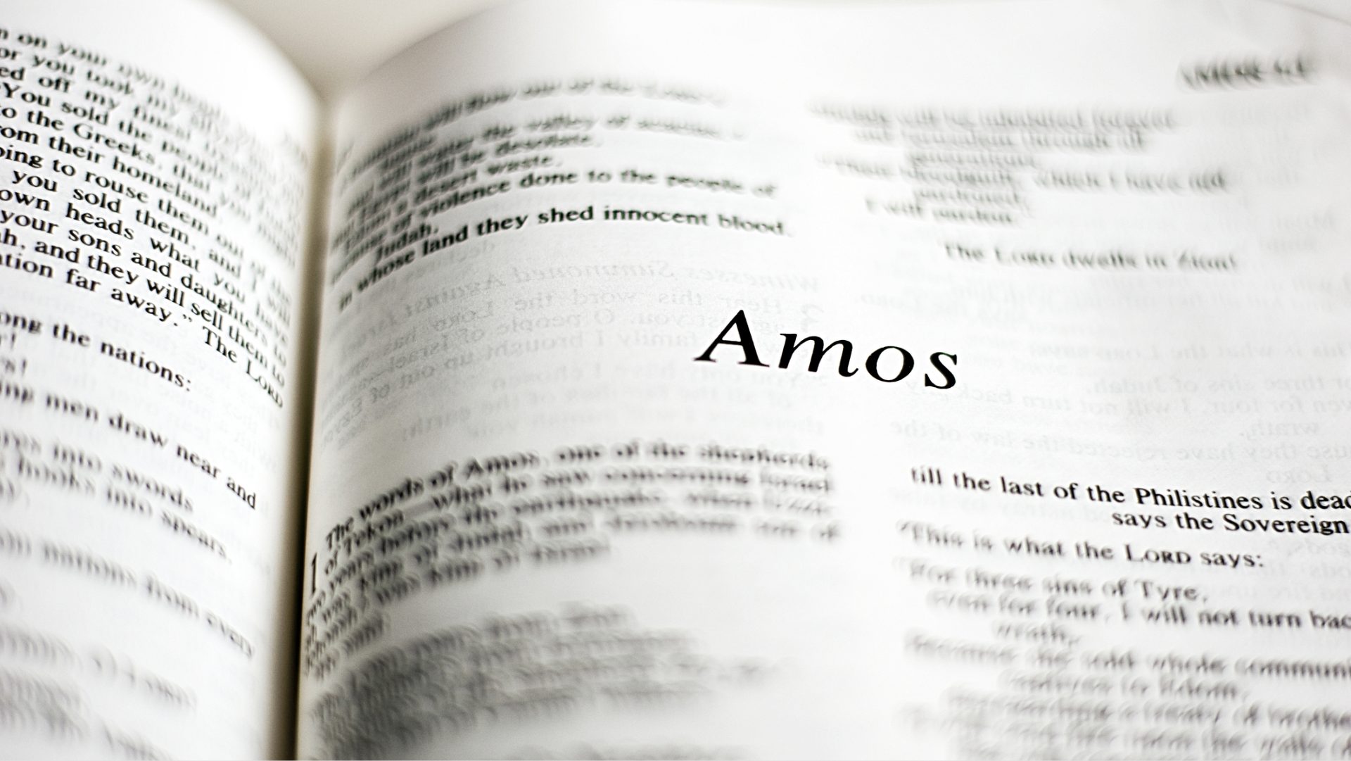 Amos e le “vacche di Basan”