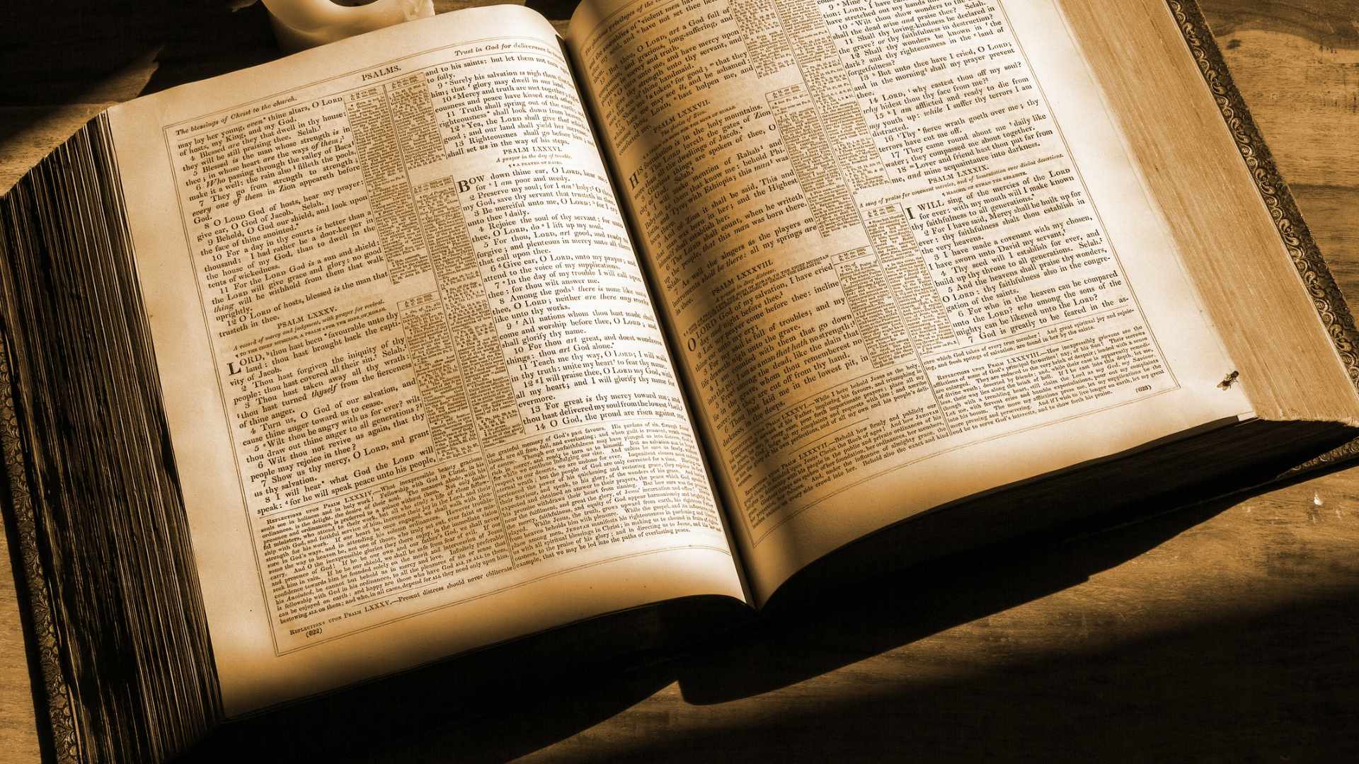 Credo per comprendere: “Aversio a Deo et conversio ad creaturas”