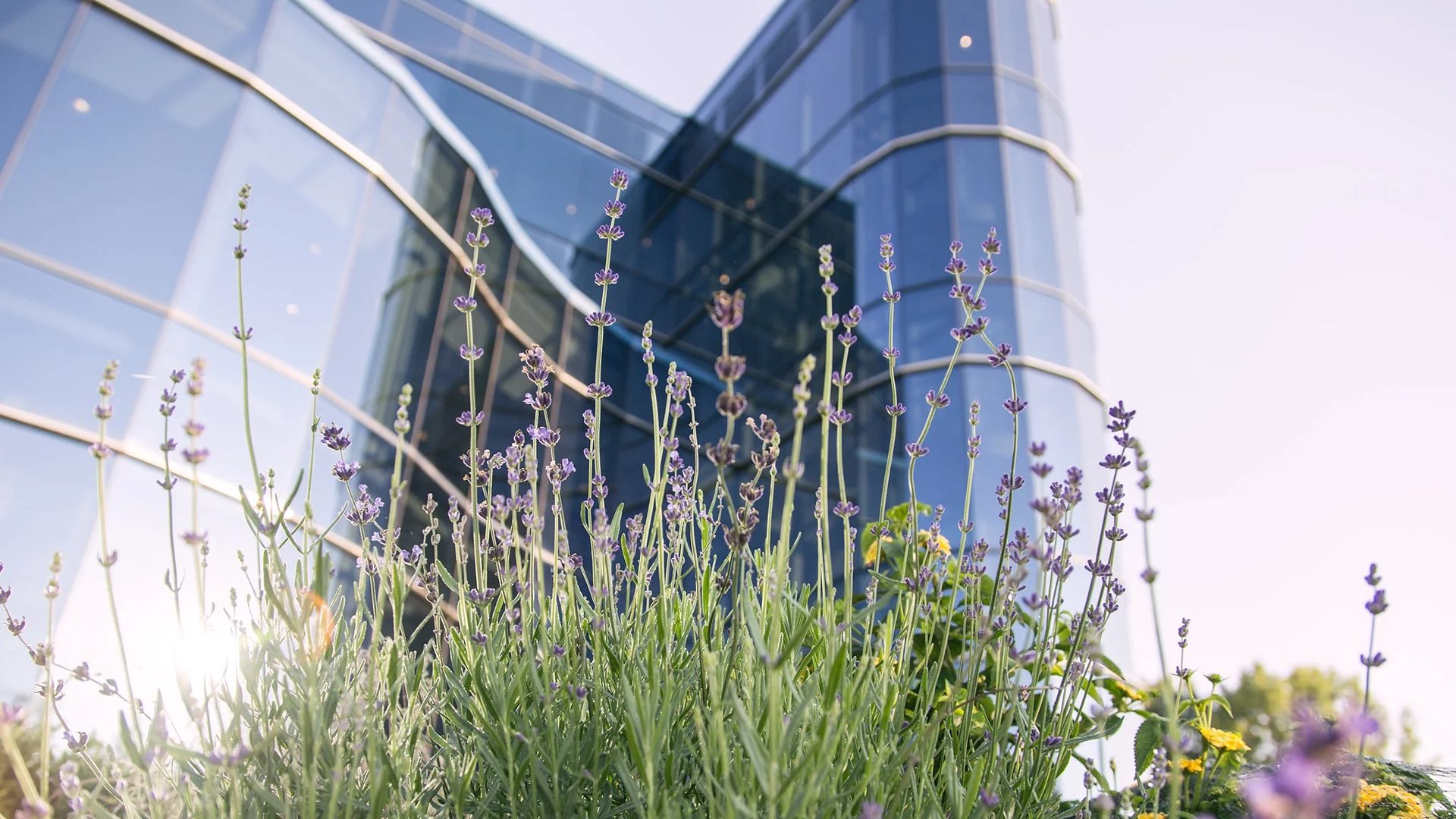 Proposta sul riposo domenicale. Preoccupazione per la libertà religiosa negli Stati Uniti