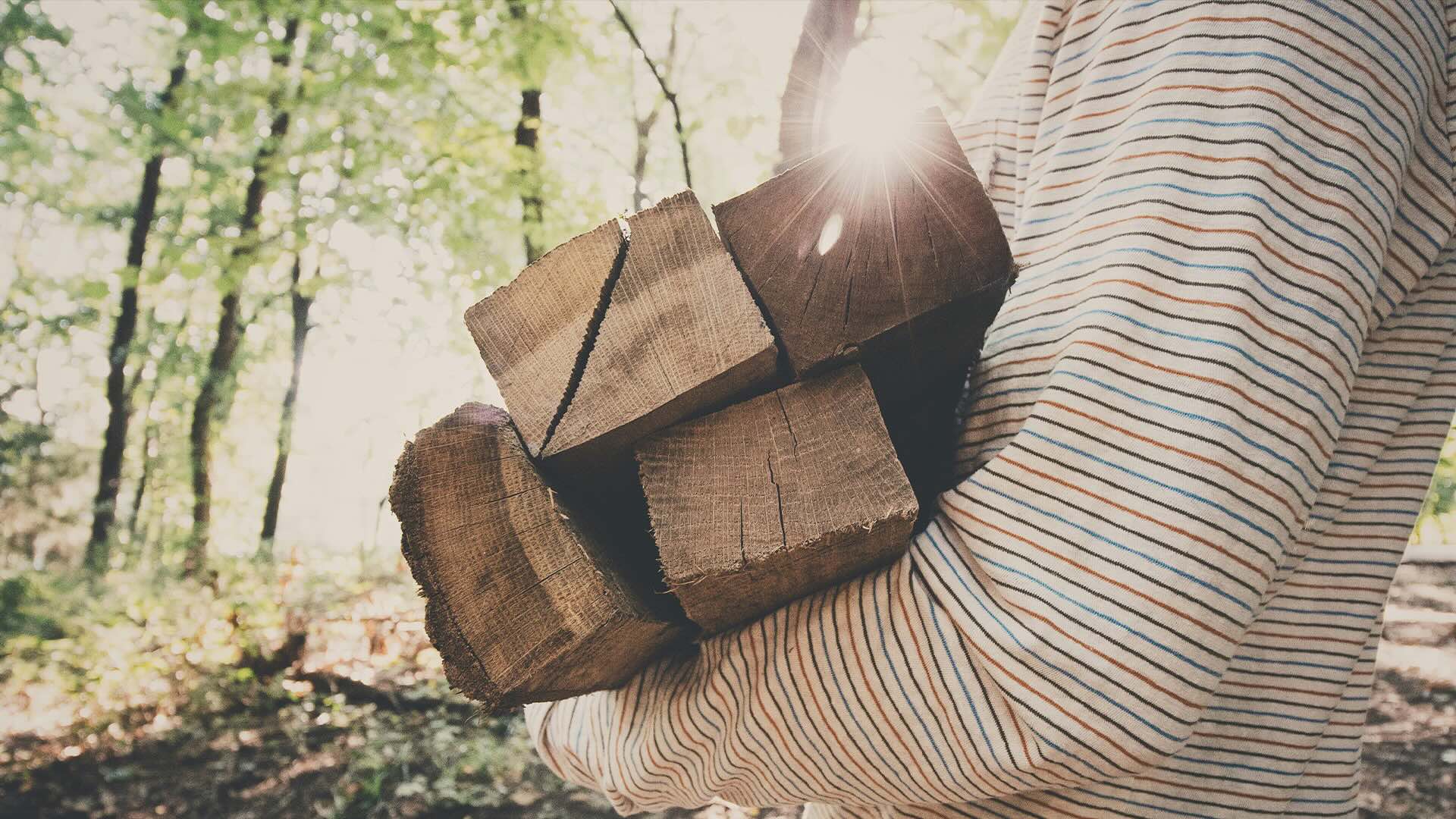 Mani piccole, cuore grande