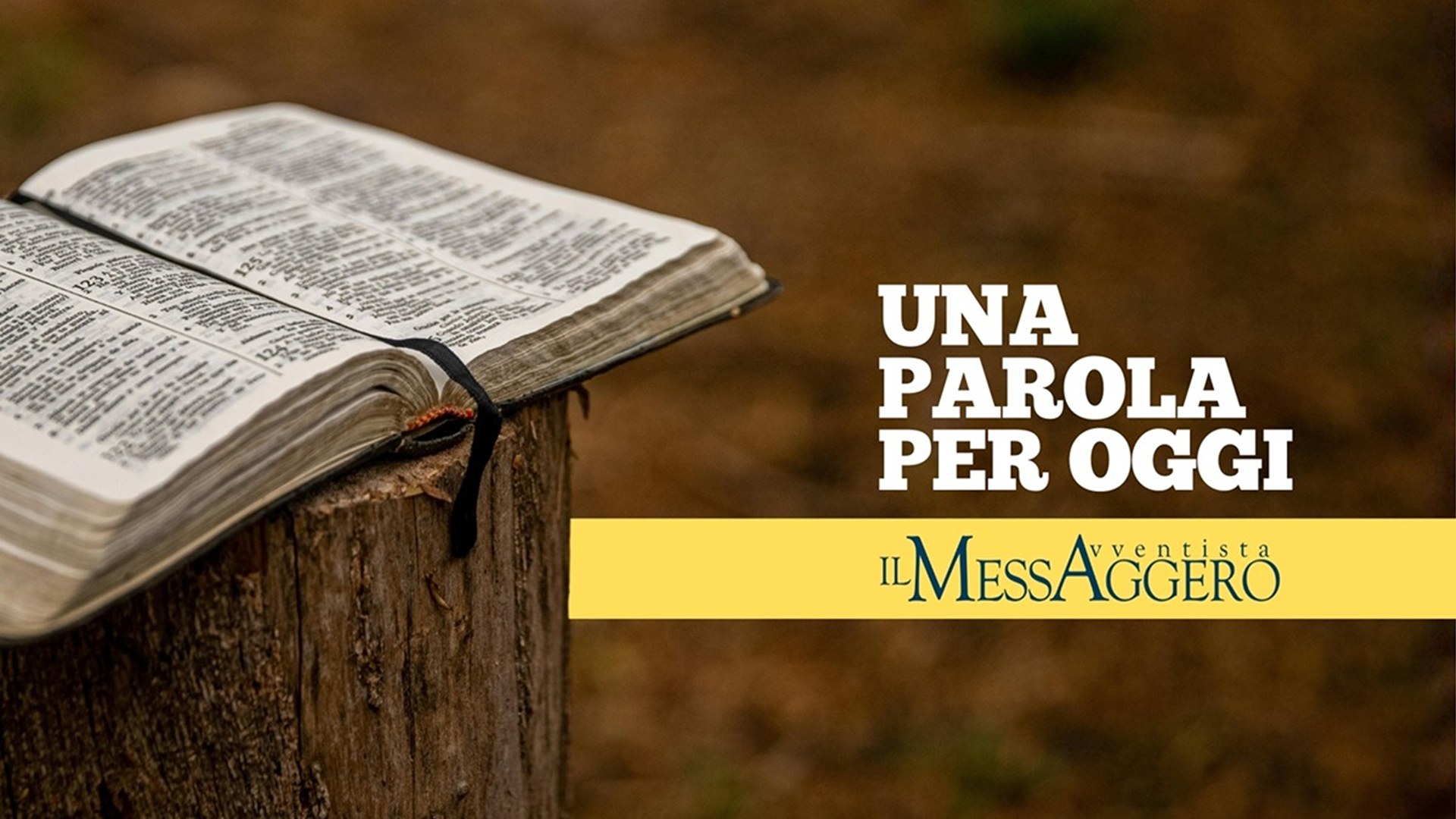 La fedeltà apre al futuro