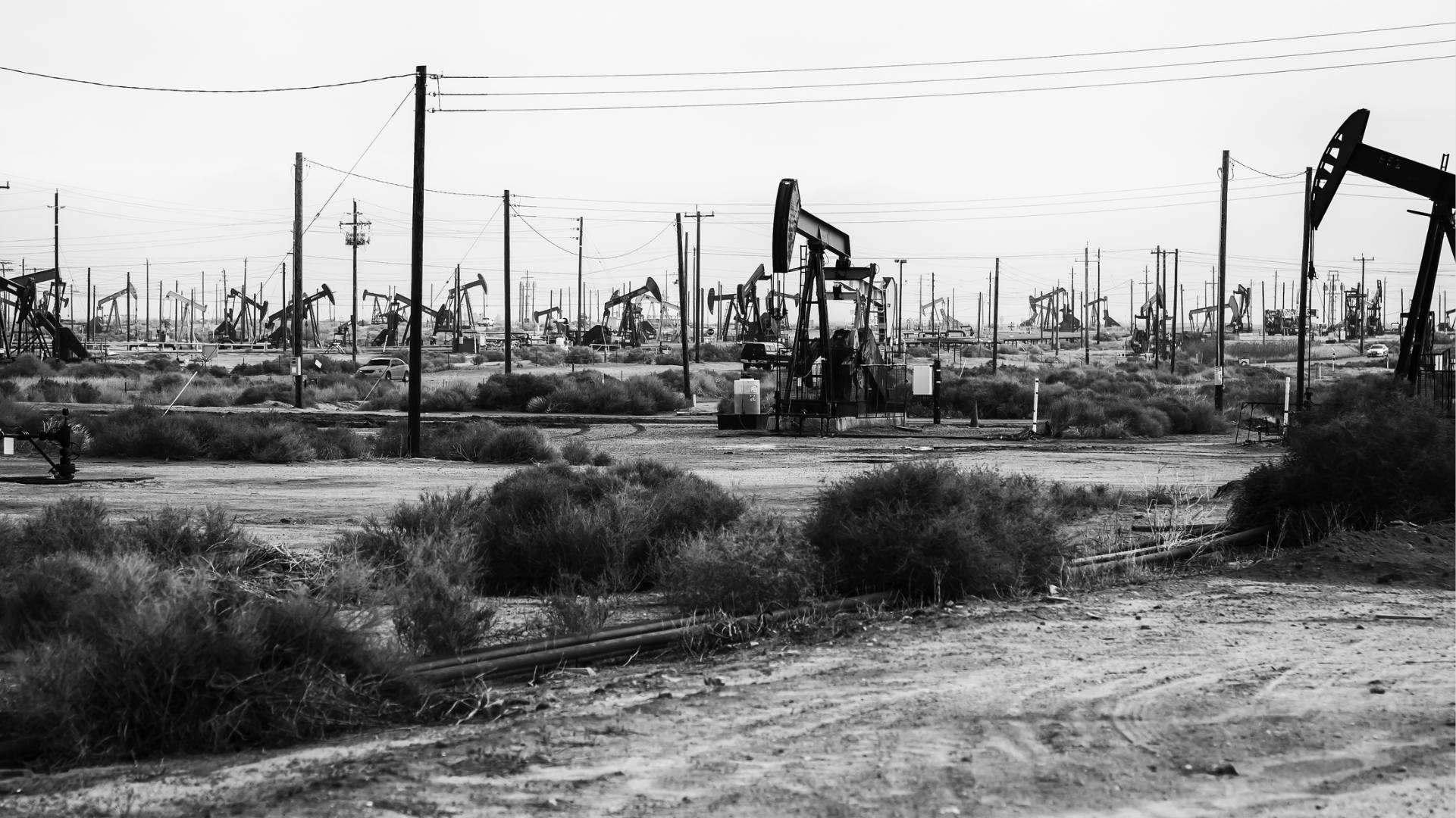 Da Apocalisse a zero: Antropocene