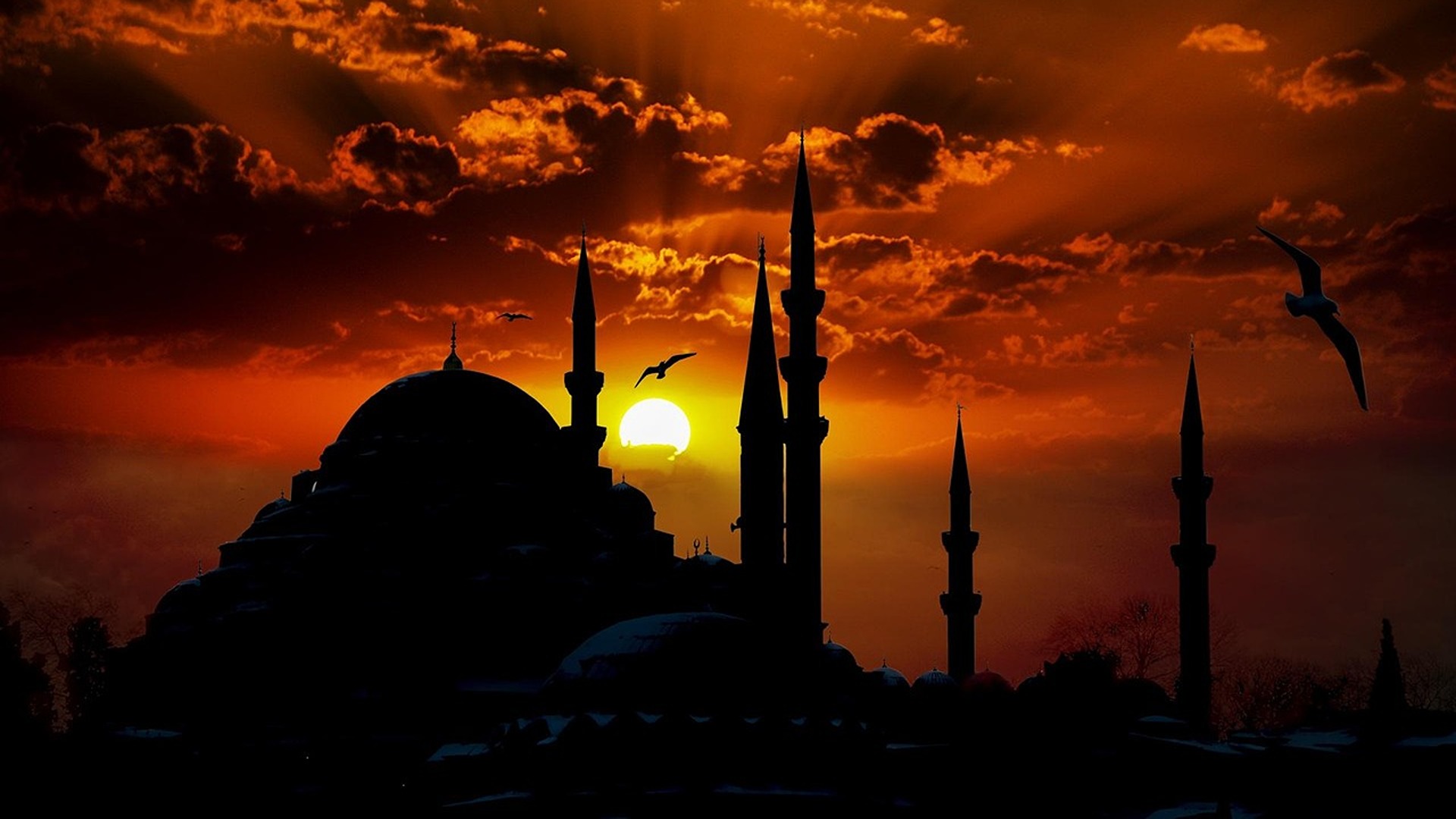 Il metodo di Cristo per entrare in contatto con i musulmani