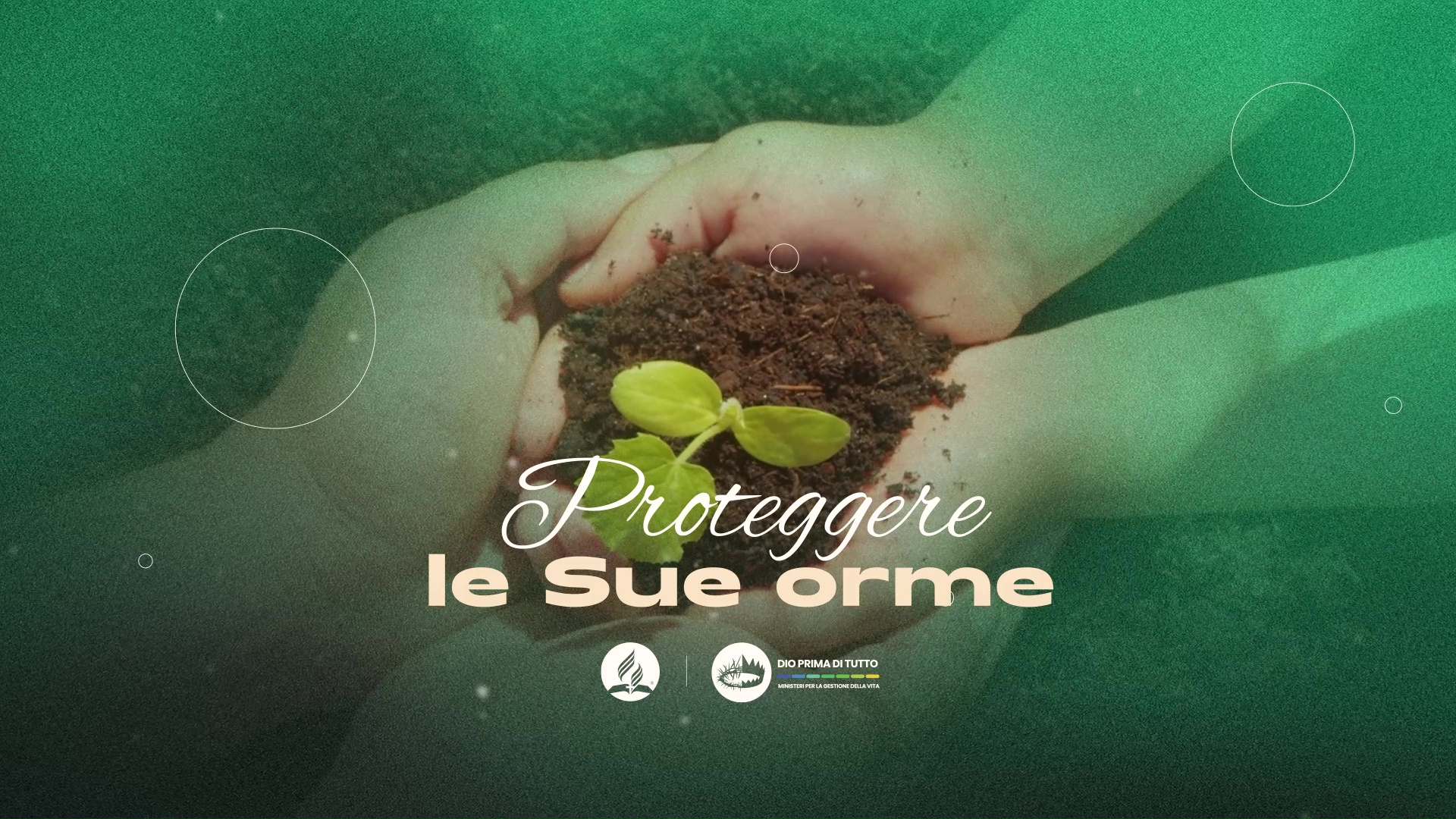 Proteggere le sue orme