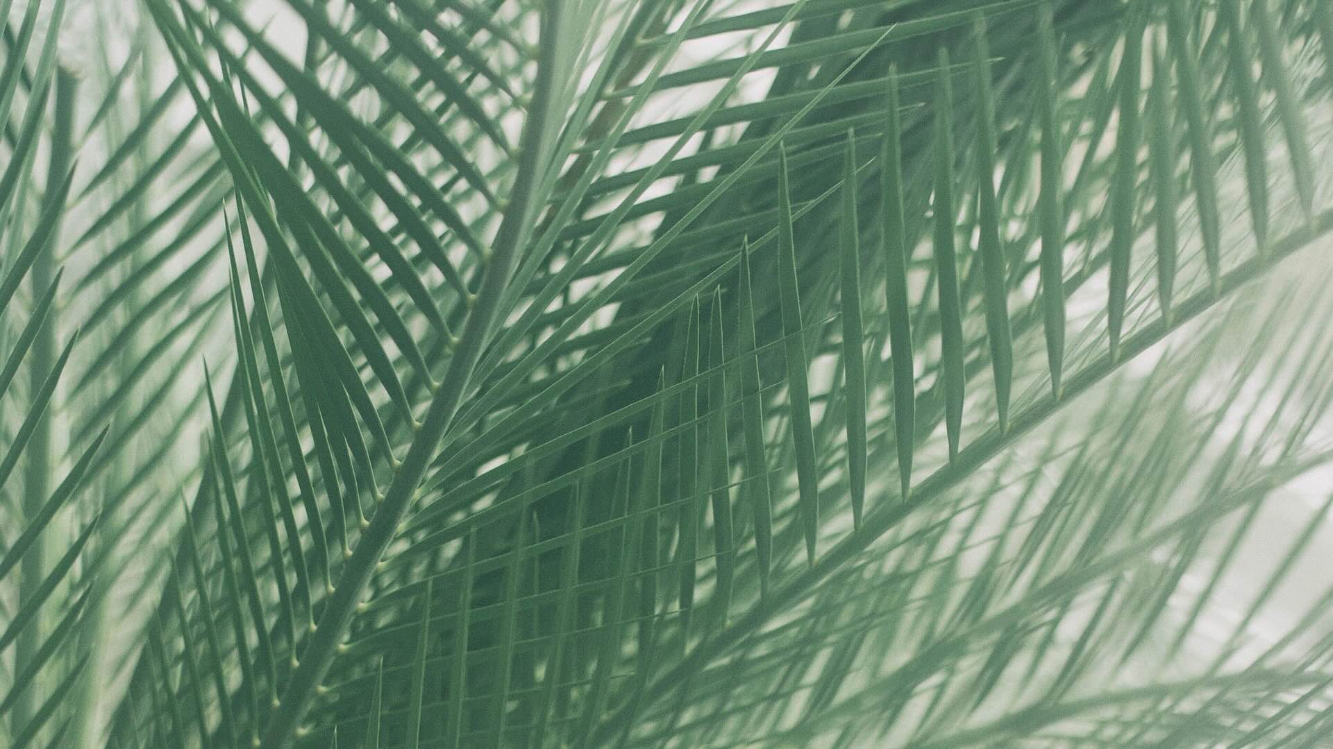 Culto evangelico Radio Rai 1. Un ingresso di rivelazione e di salvezza