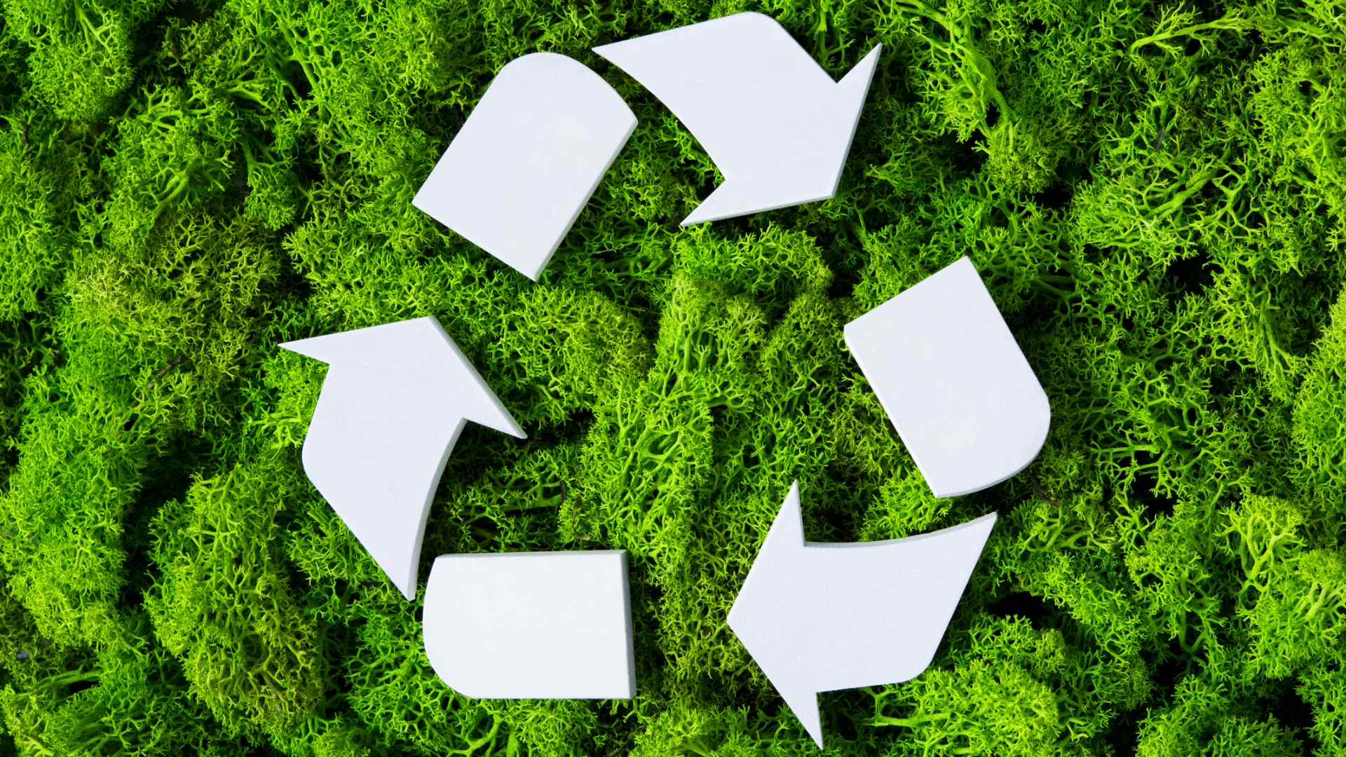 Giornata mondiale del riciclo, riciclare bene fa la differenza