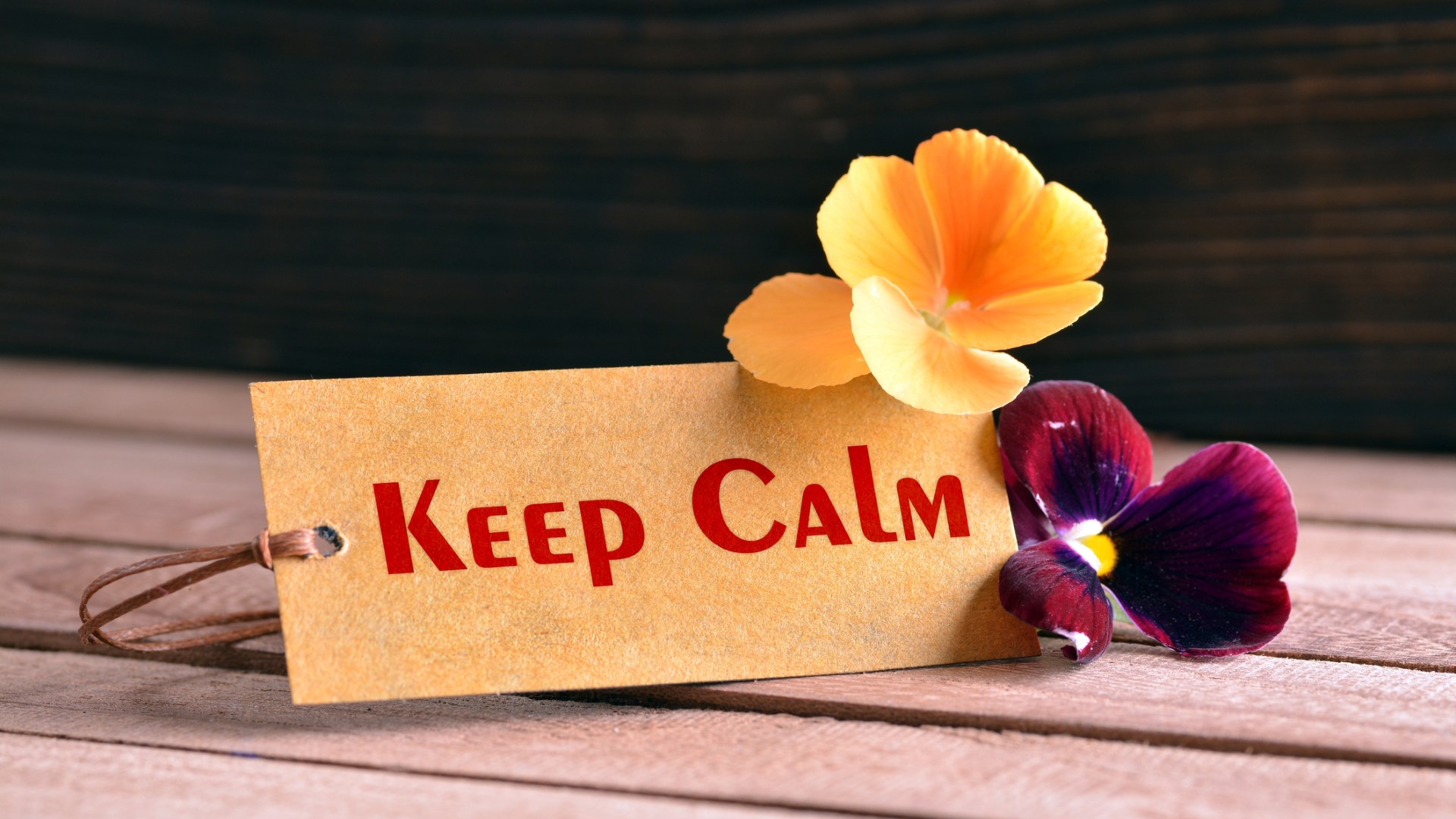 Miracolati – Keep calm