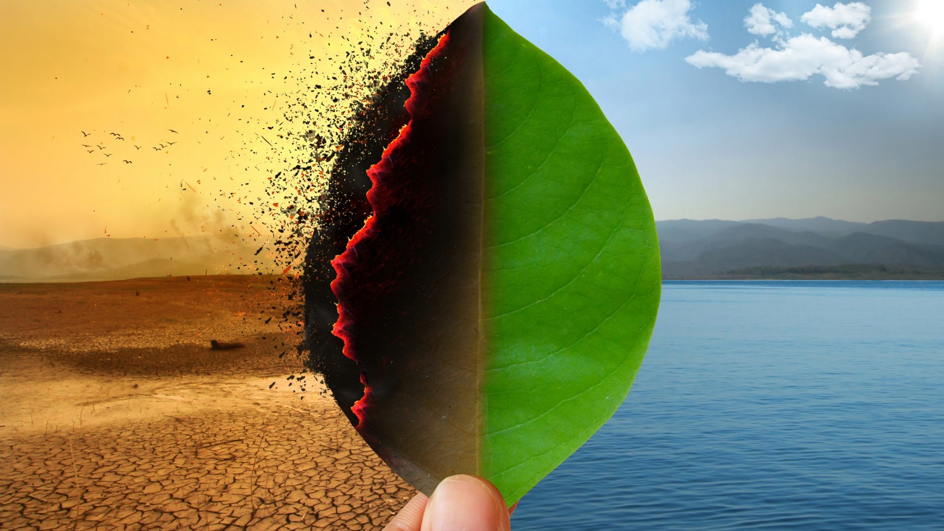 La guerra occulta ma non cancella la crisi climatica