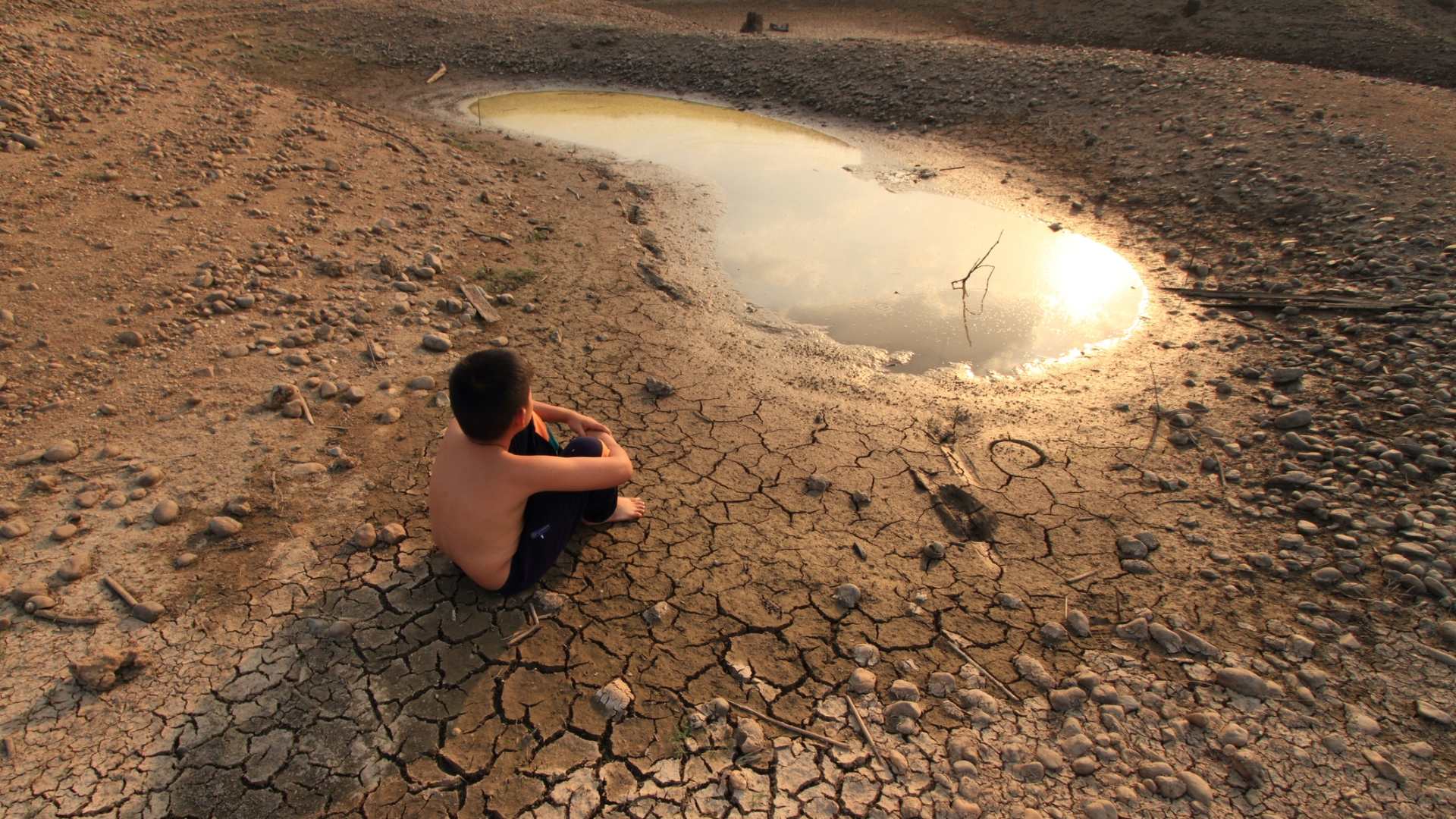 Da Apocalisse a Zero: crisi