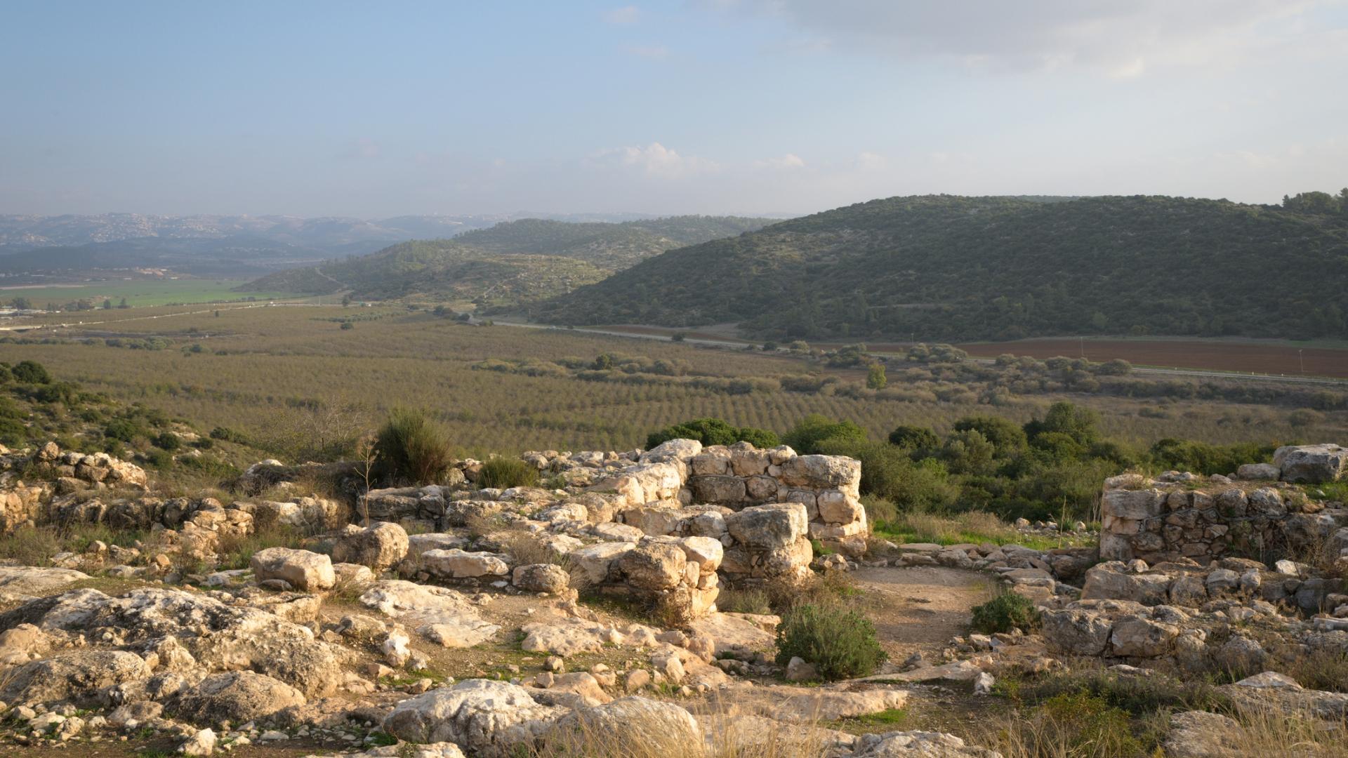 Davide e Golia dei nostri giorni