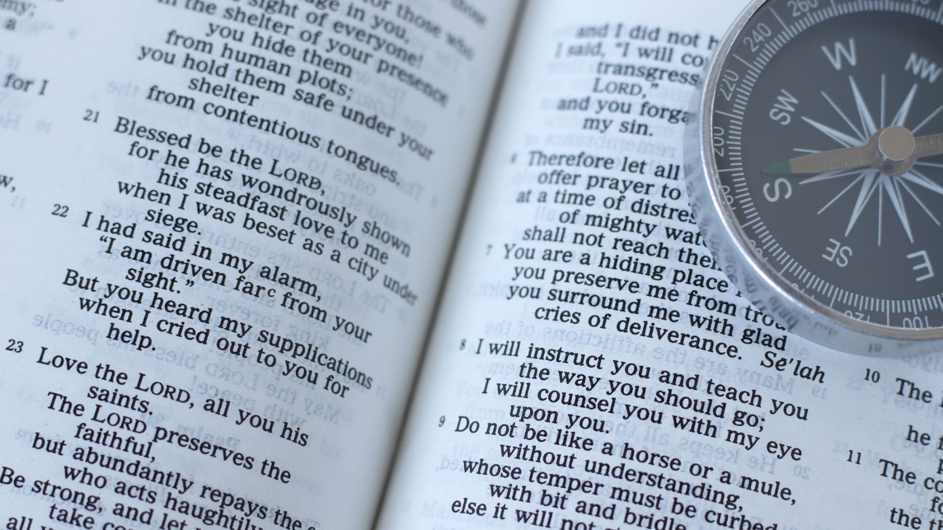 Una bussola: il bisogno di sicurezza