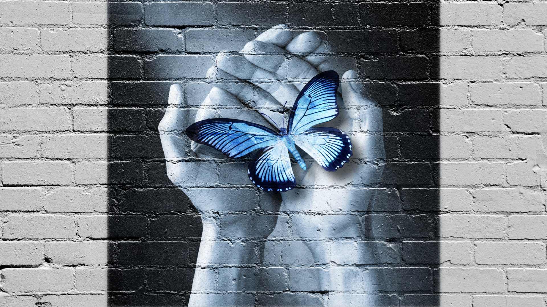 Benedetta fragilità: una realtà comune