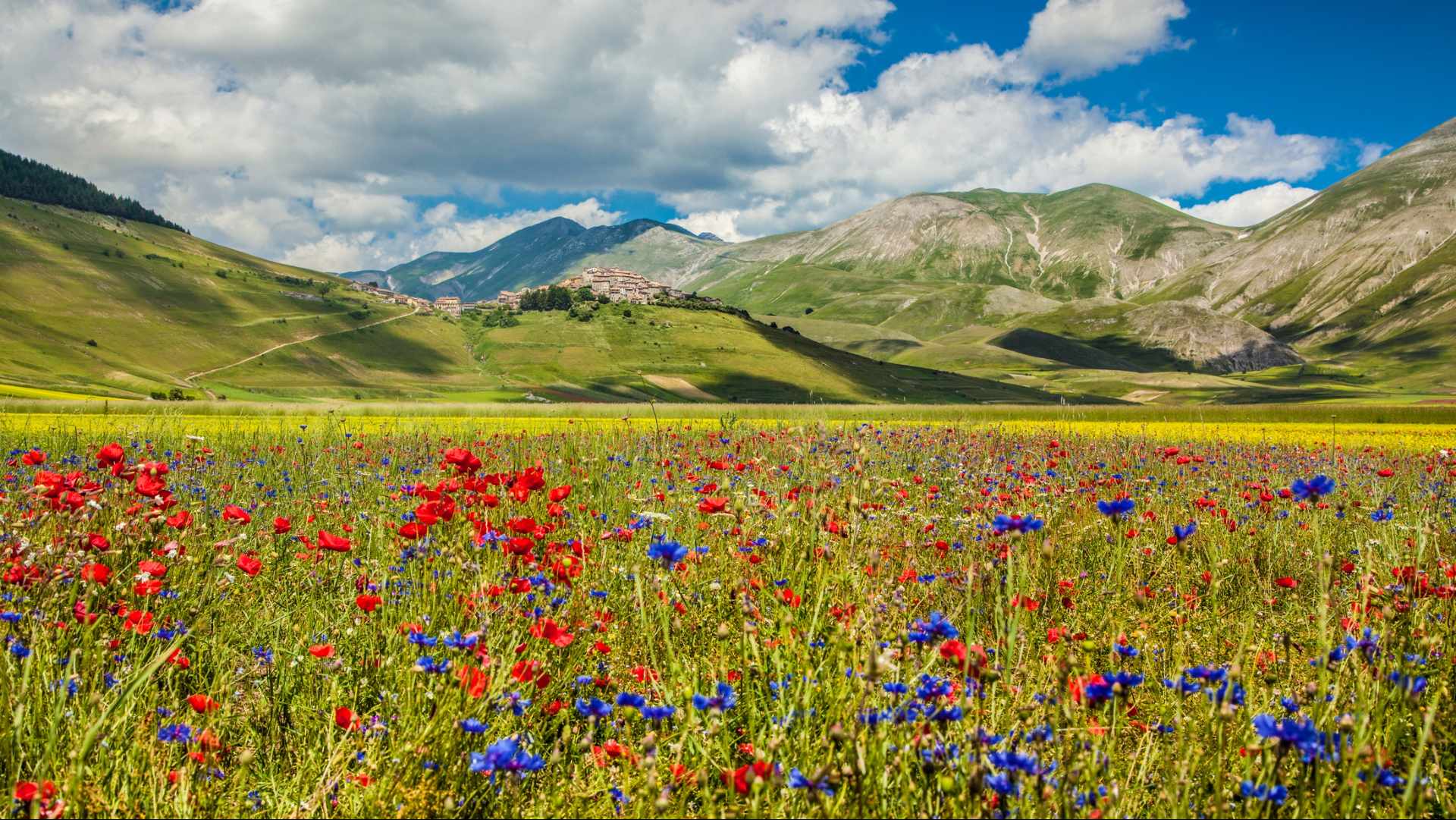 Una battaglia in prima linea per l’ambiente