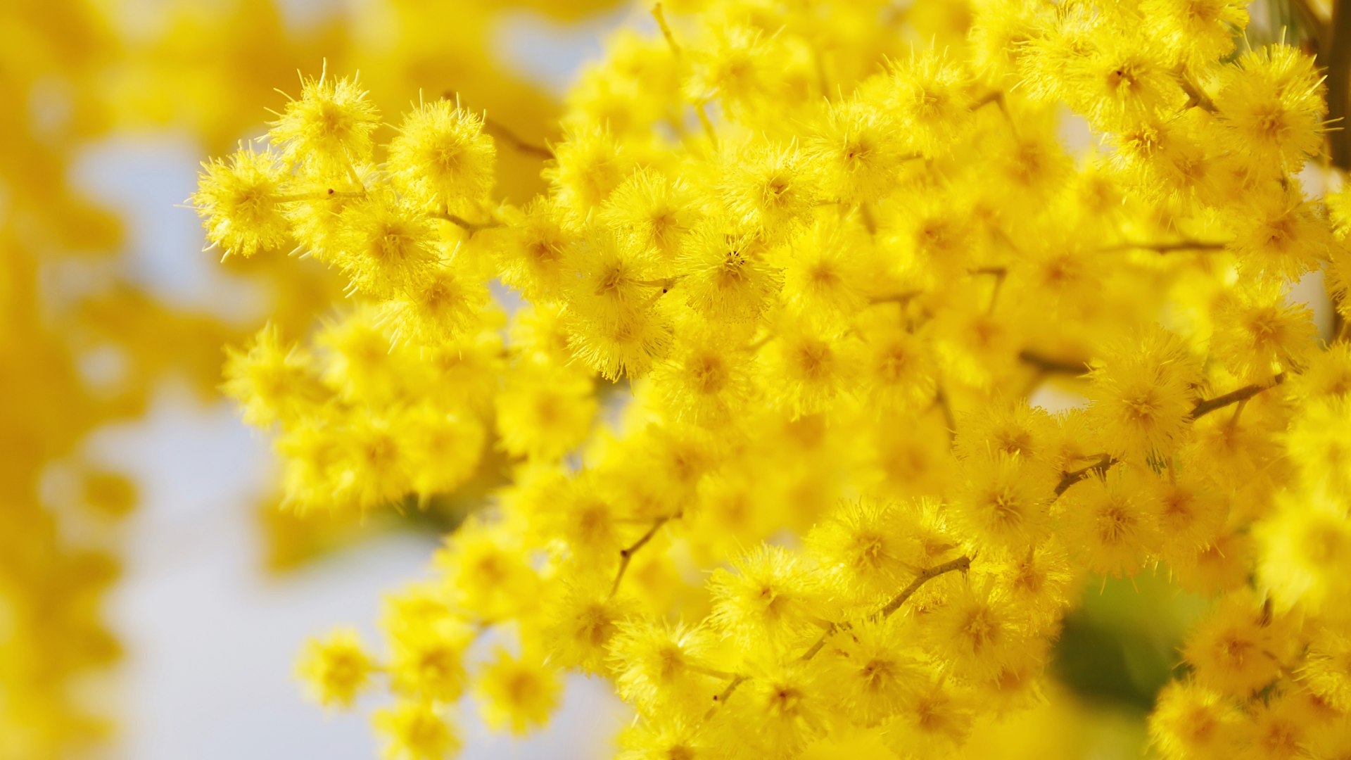 Parità? Tanta strada ancora da fare