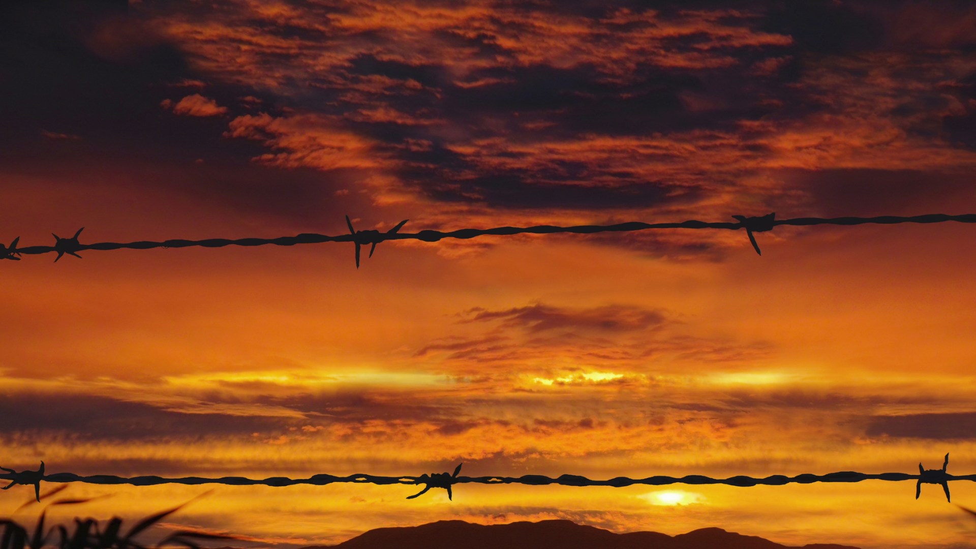 Guerra senza confini