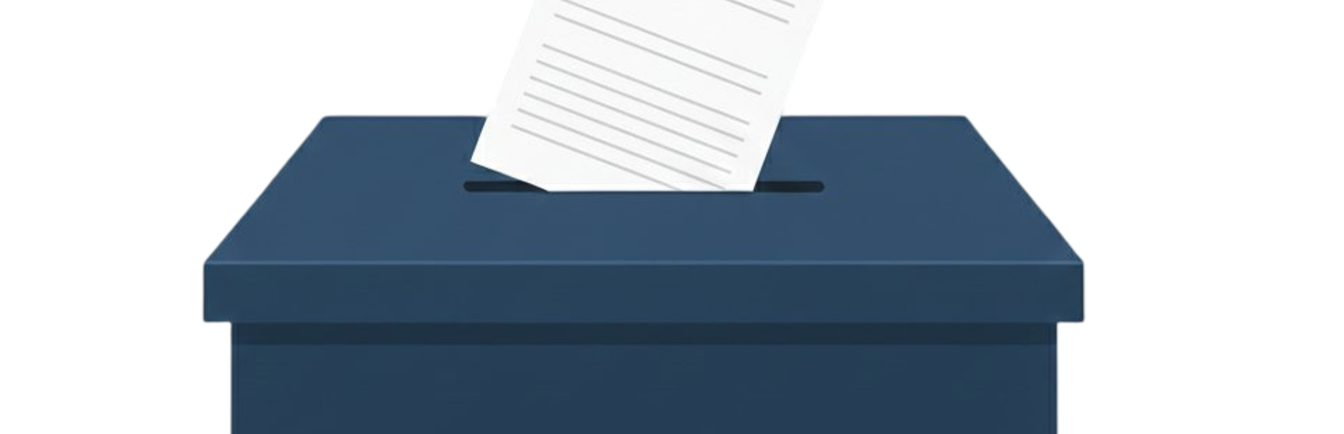 Votare o non votare?