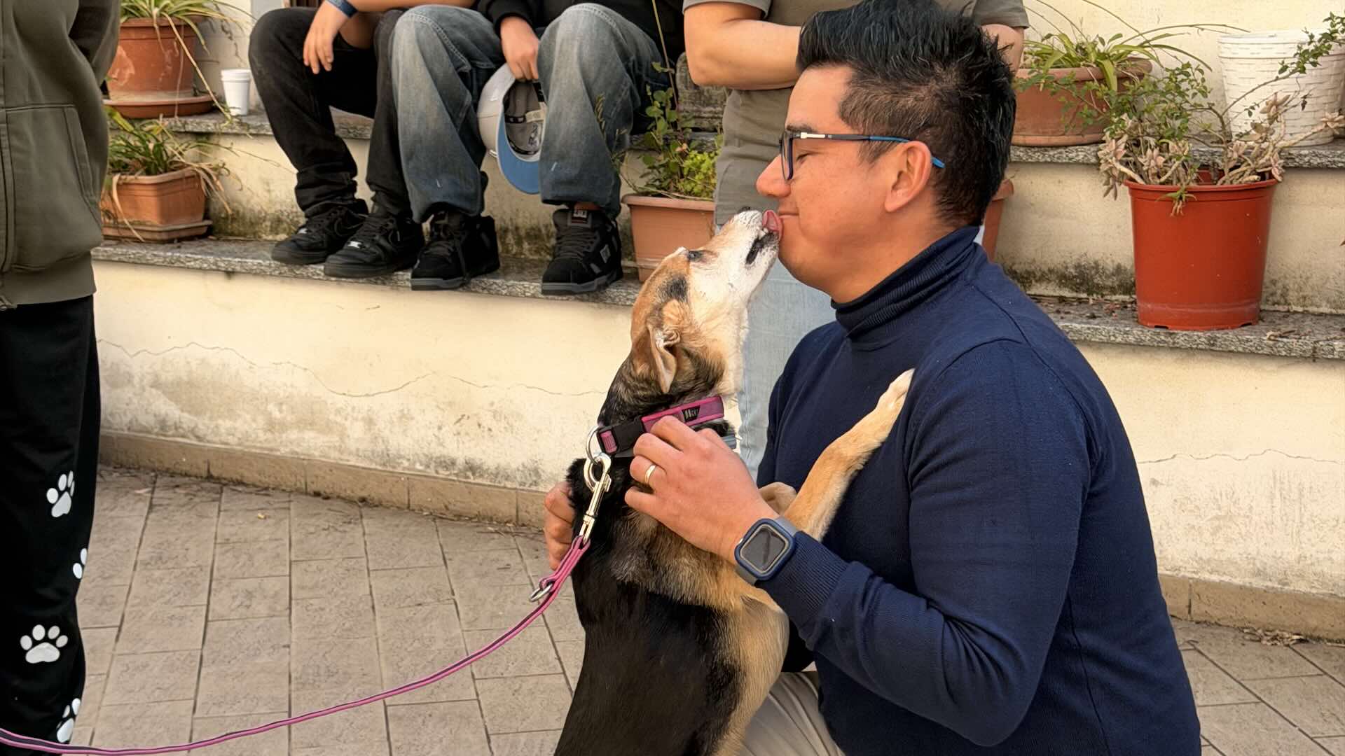Milano Mirabello. Incontri con gli amici a quattro zampe