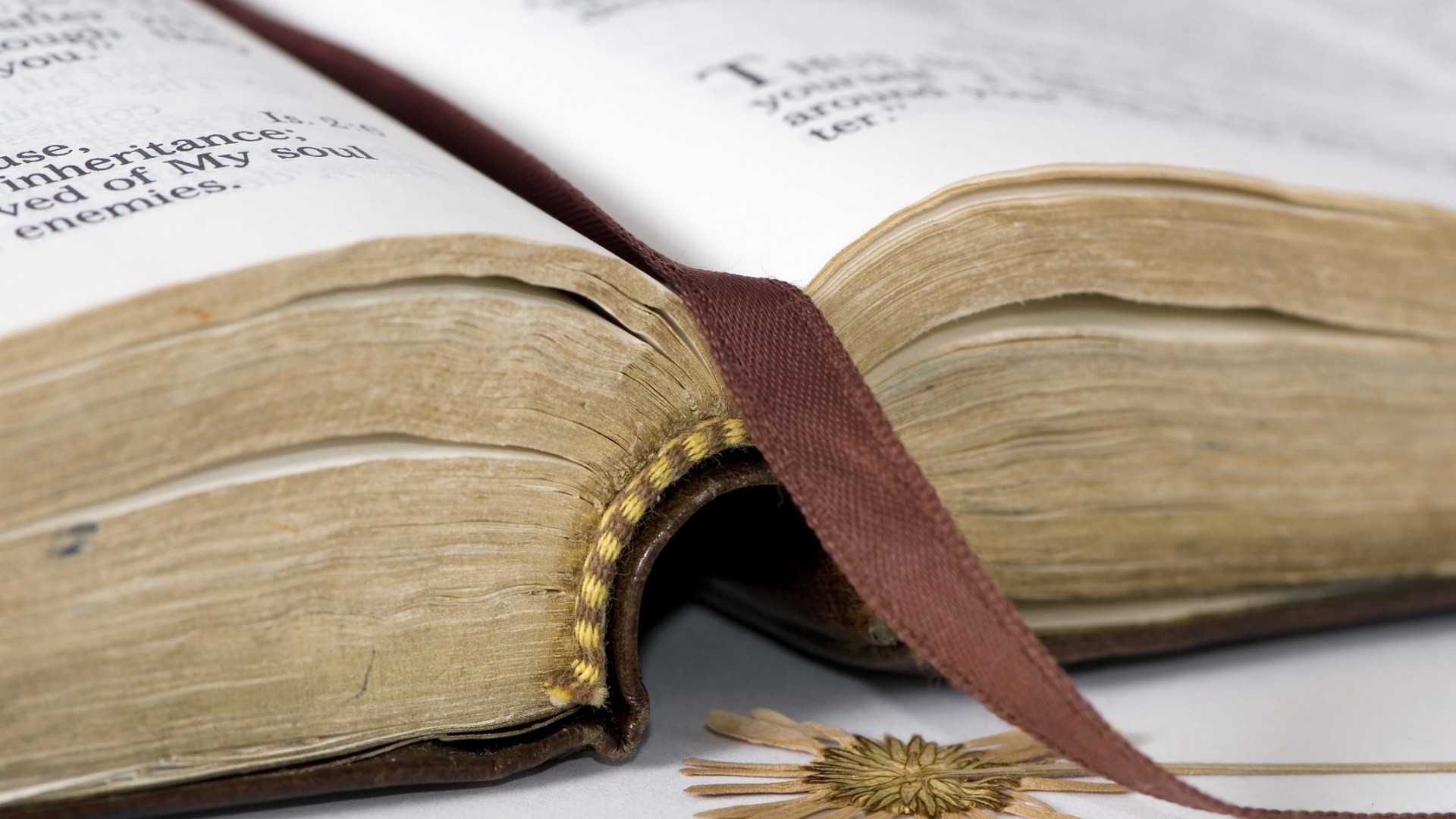 Due modalità di essere discepole