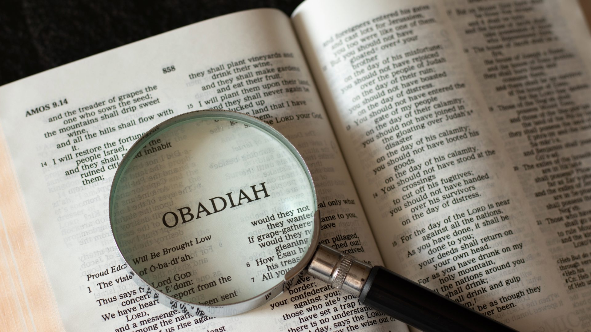 Orgoglio e arroganza non portano a nulla di buono