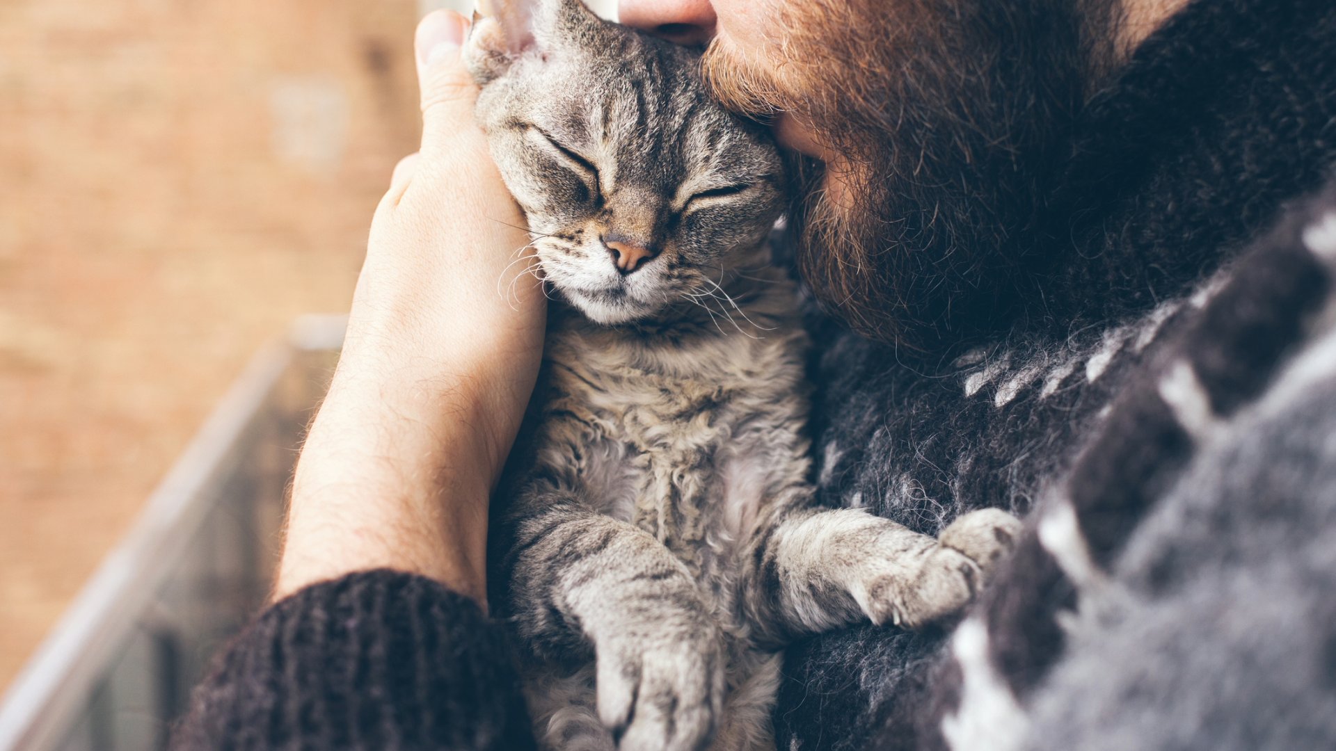 L’affascinante mondo dei gatti e la relazione complessa con gli umani