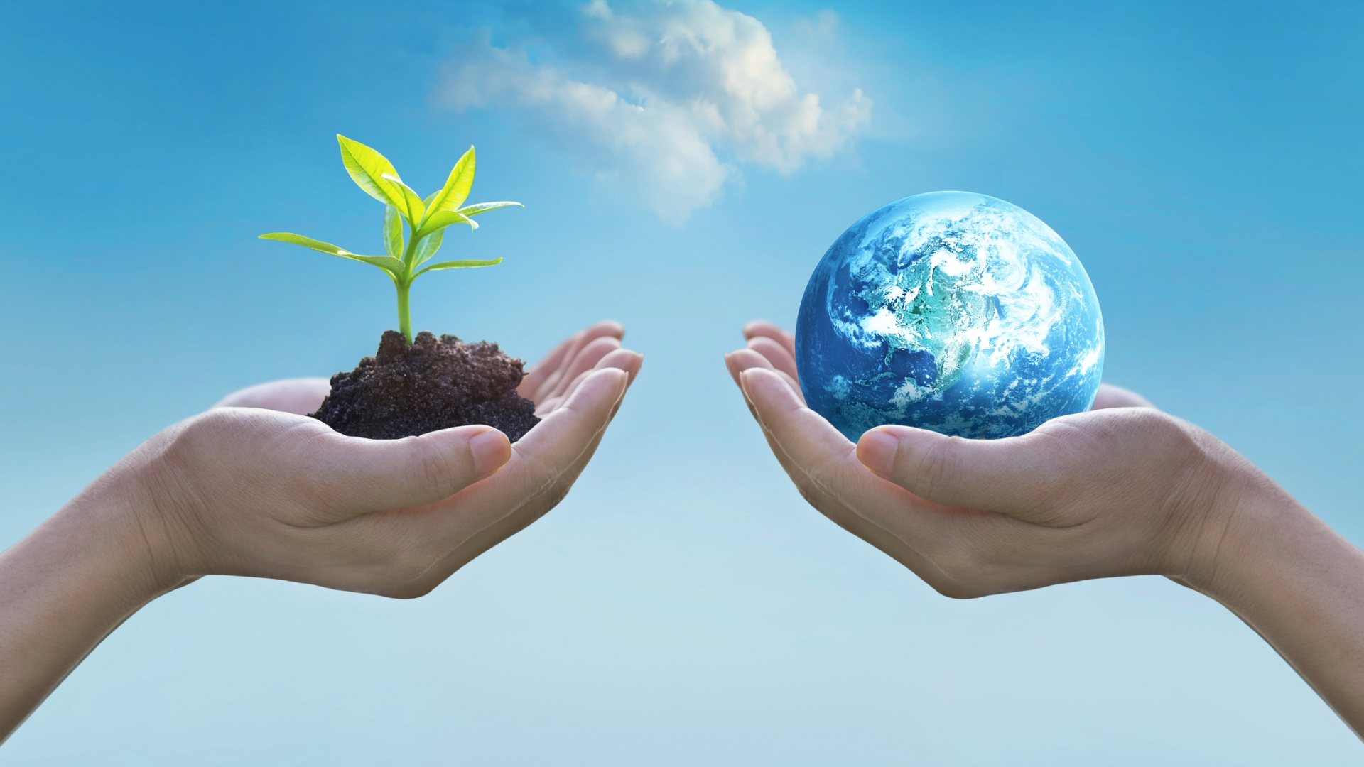 Parole al vento – Proteggere la biodiversità