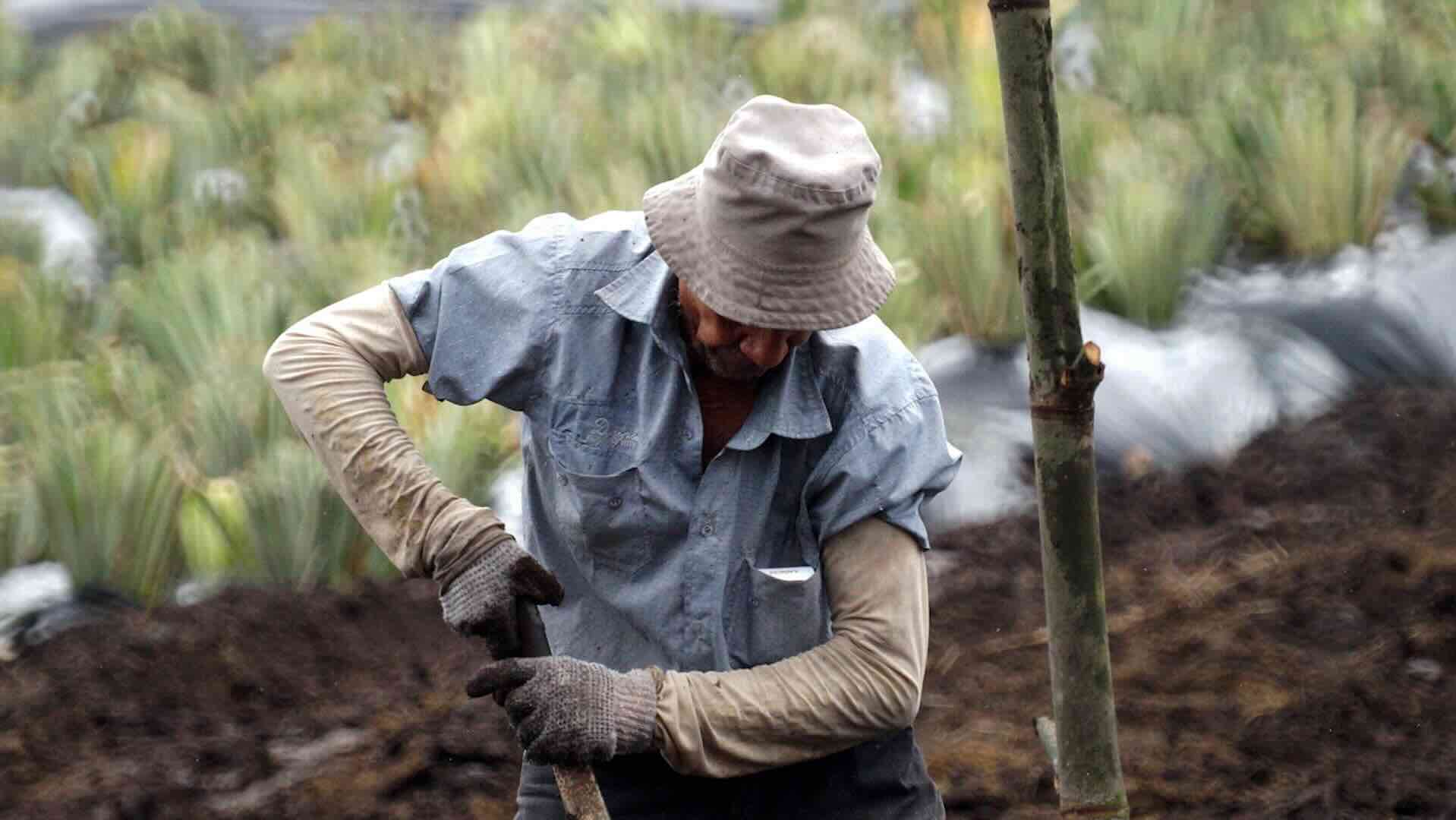 Il lavoro non è uno strumento di dominio
