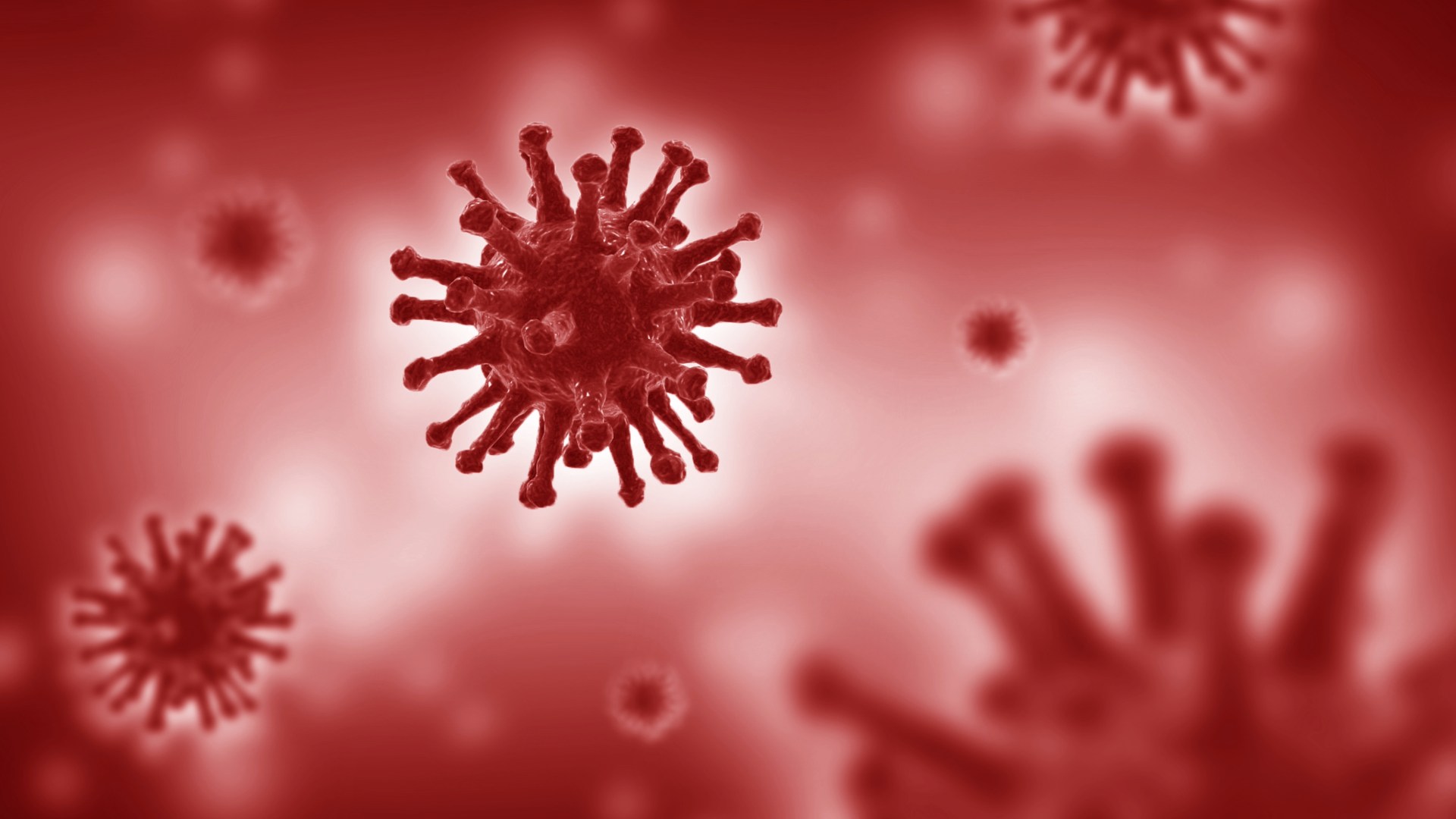 Parole al vento – Anche i virus ci fanno regali
