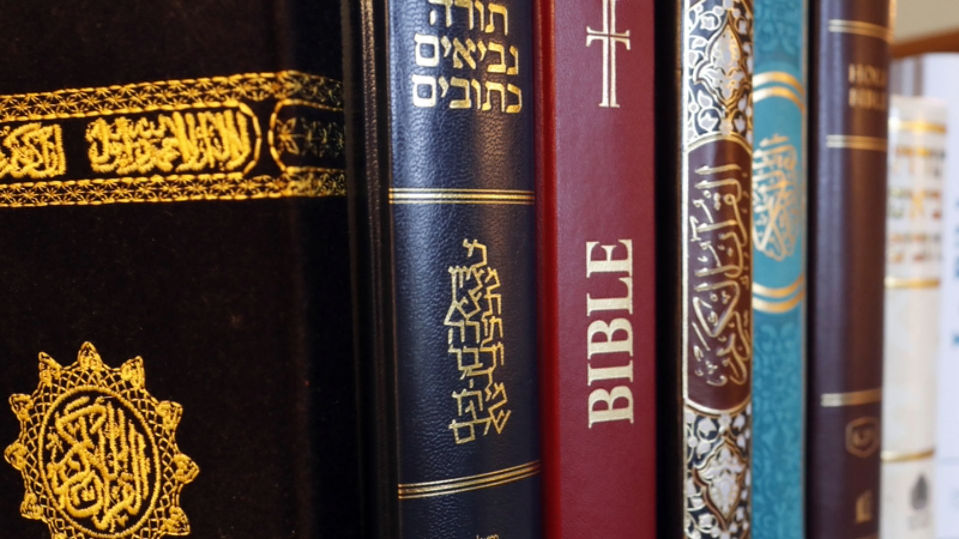 Una bussola: Bibbia e Corano