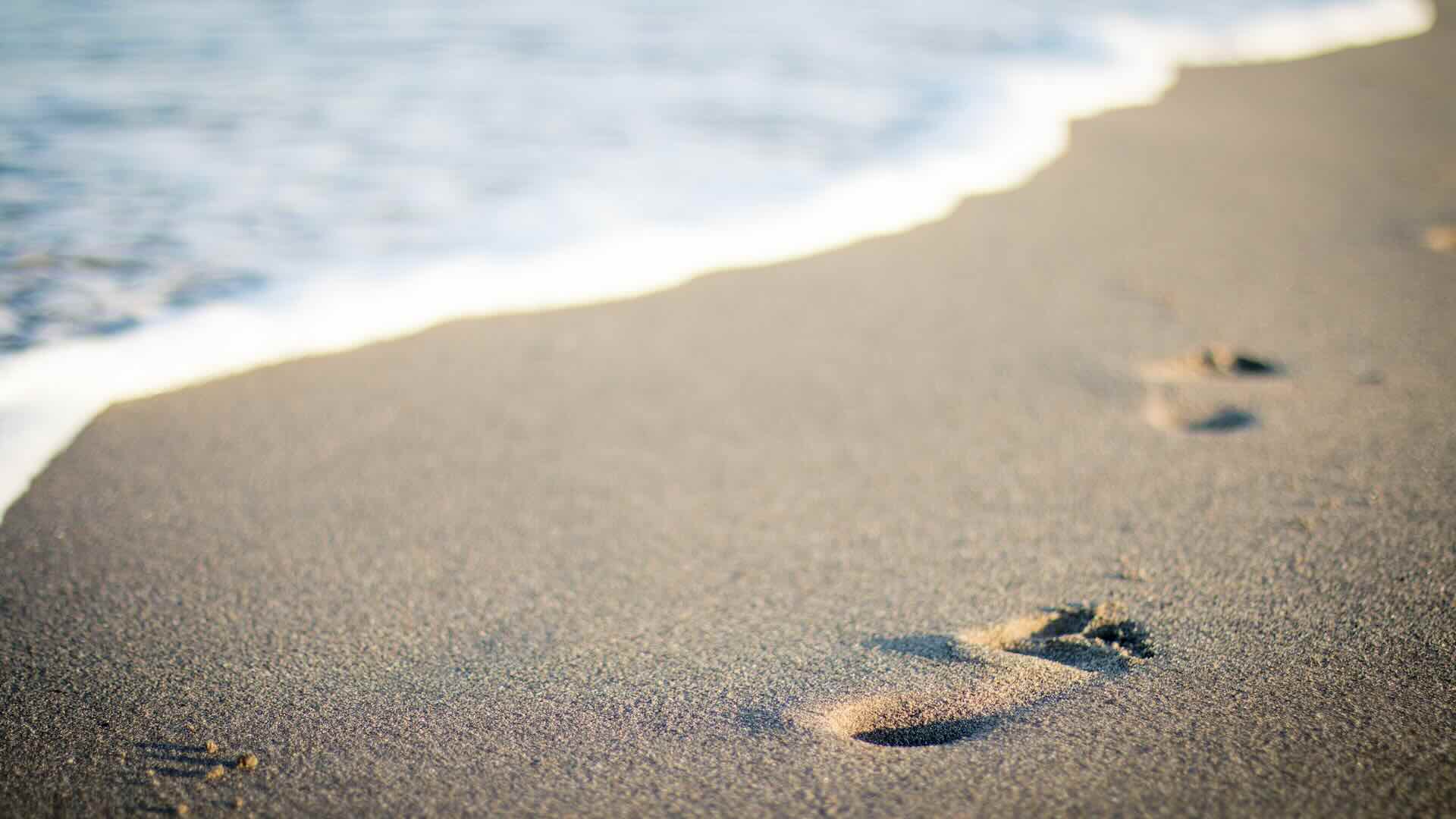 Agosto, tempo di riposo e gratitudine