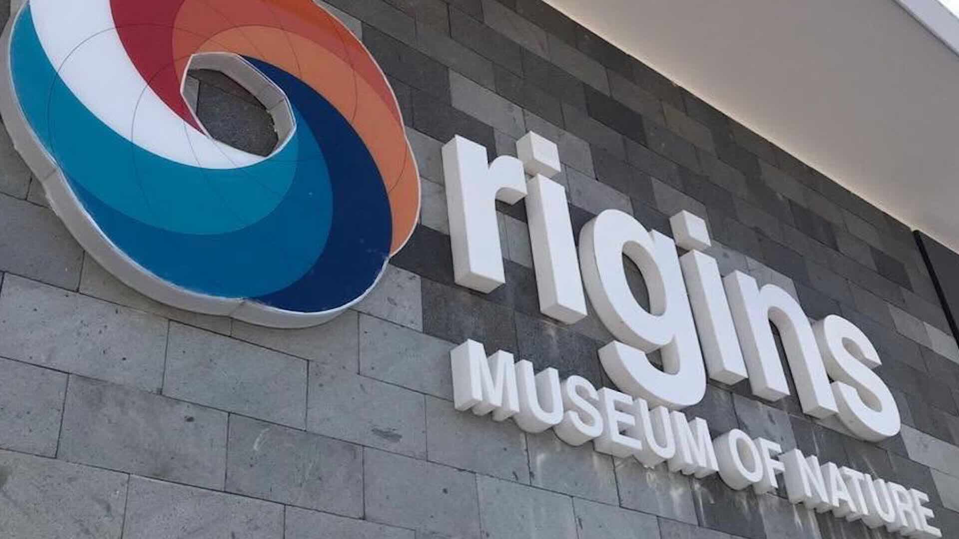 Visita al Museo delle Origini alle Galápagos