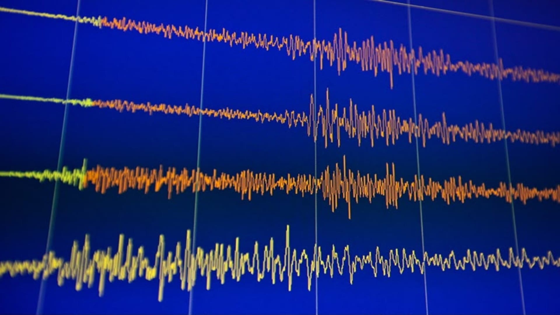 Terremoto Campi Flegrei. Aggiornamenti dal territorio