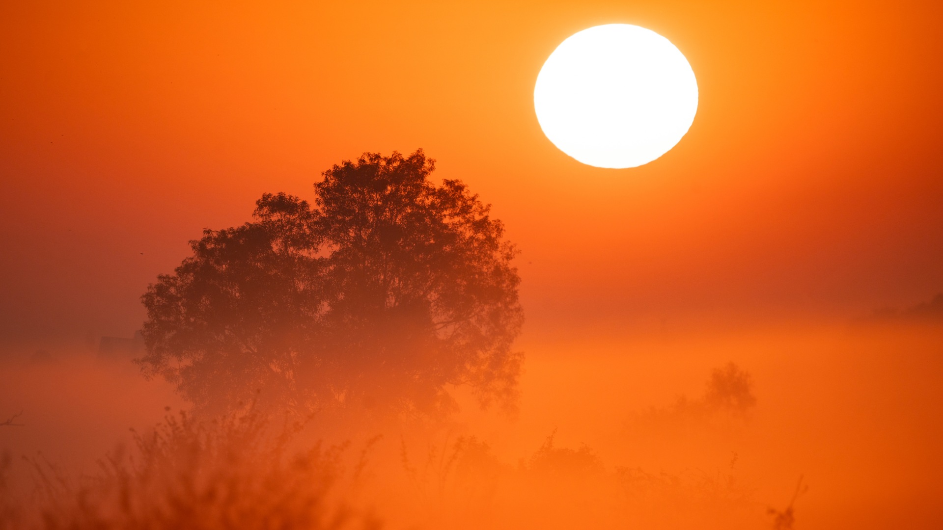 Parole al vento – Che caldo!
